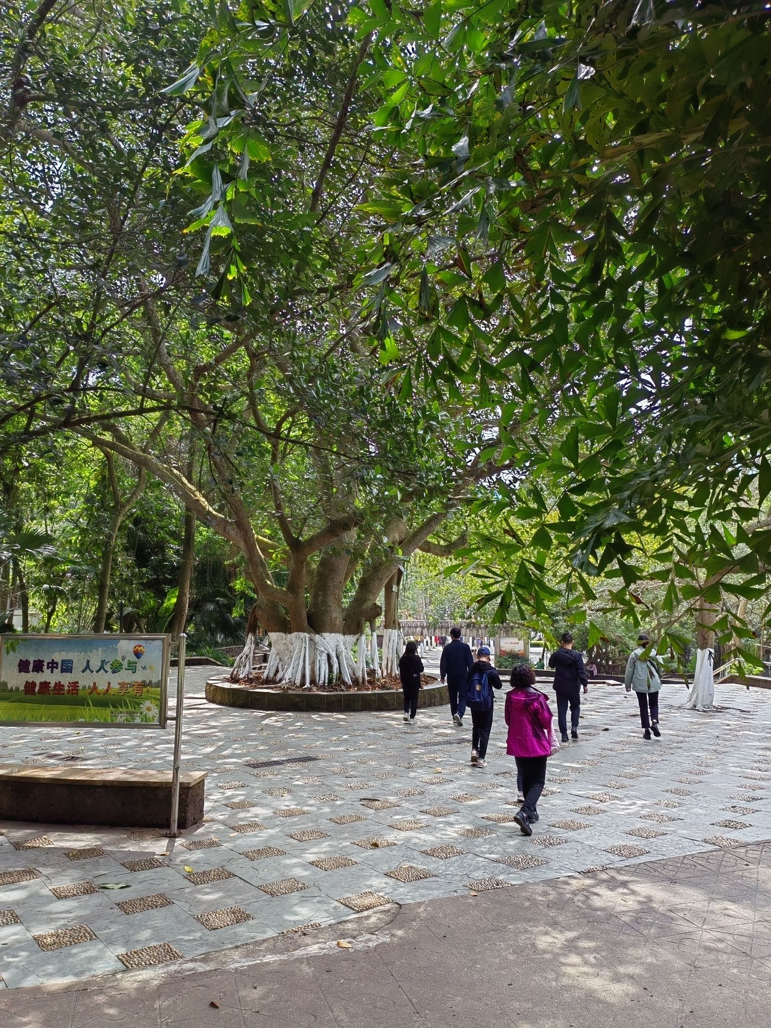 海口人民公园旅行图片 2