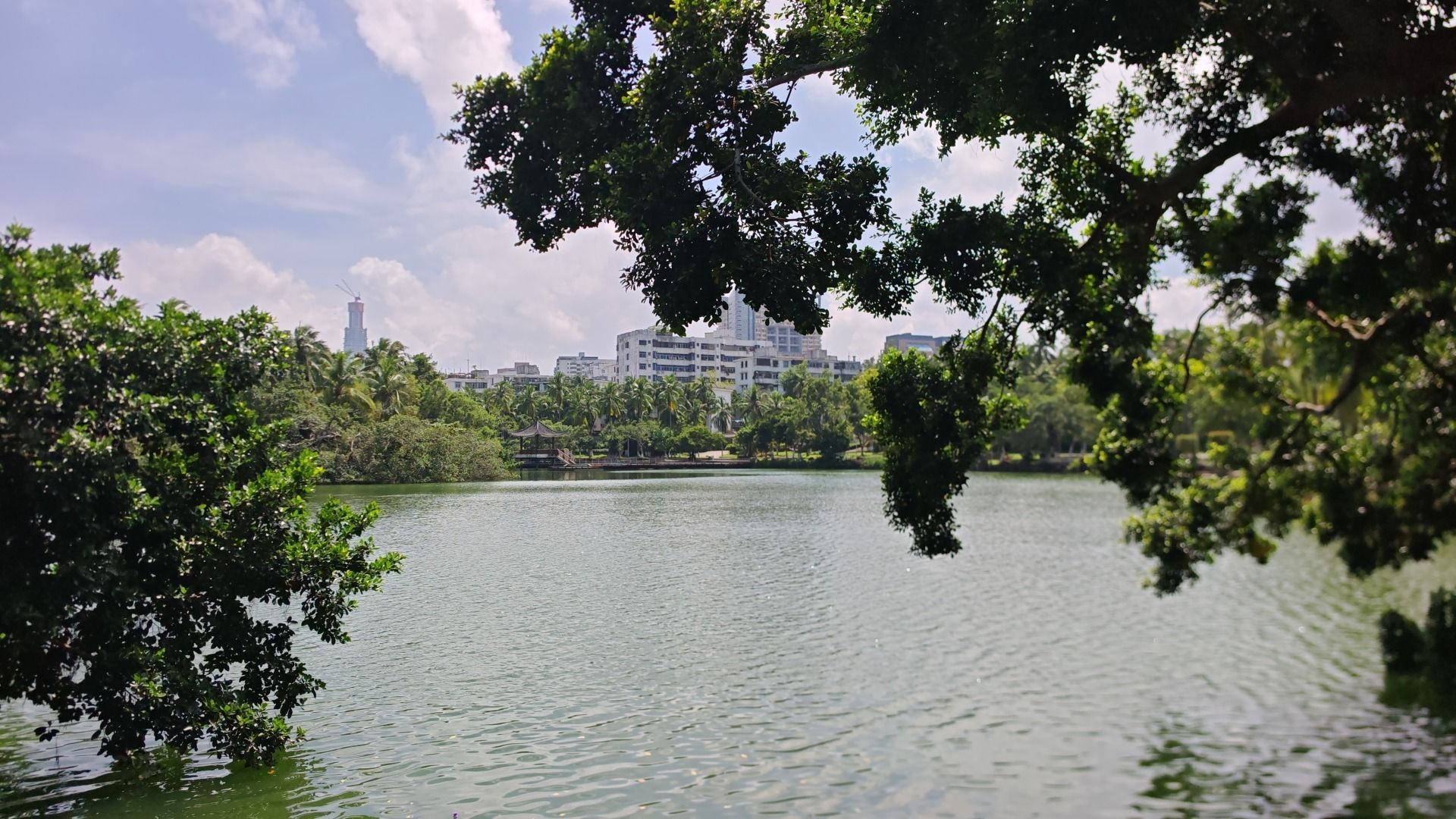海口人民公园旅行图片 3