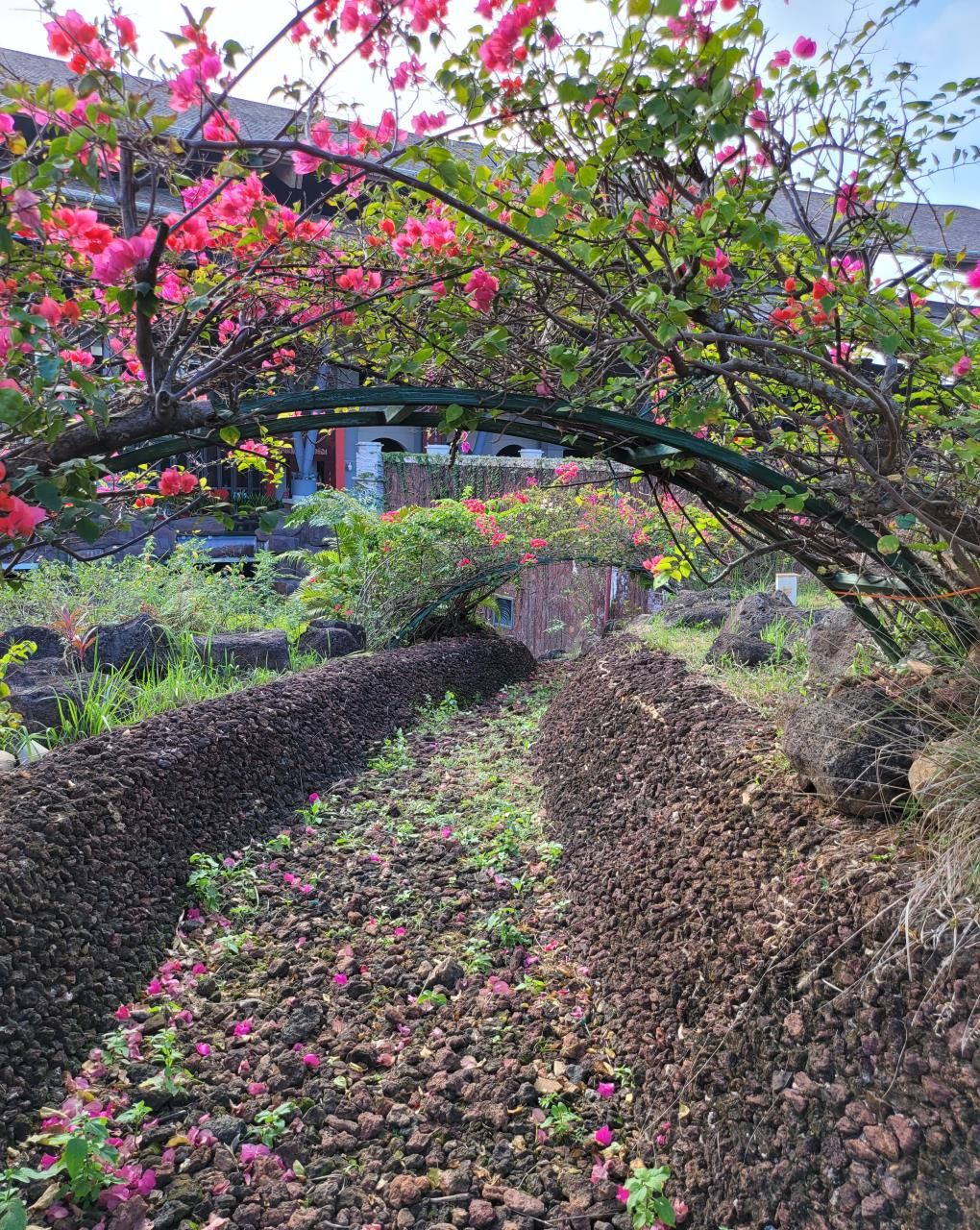 滨海公园旅行图片 1