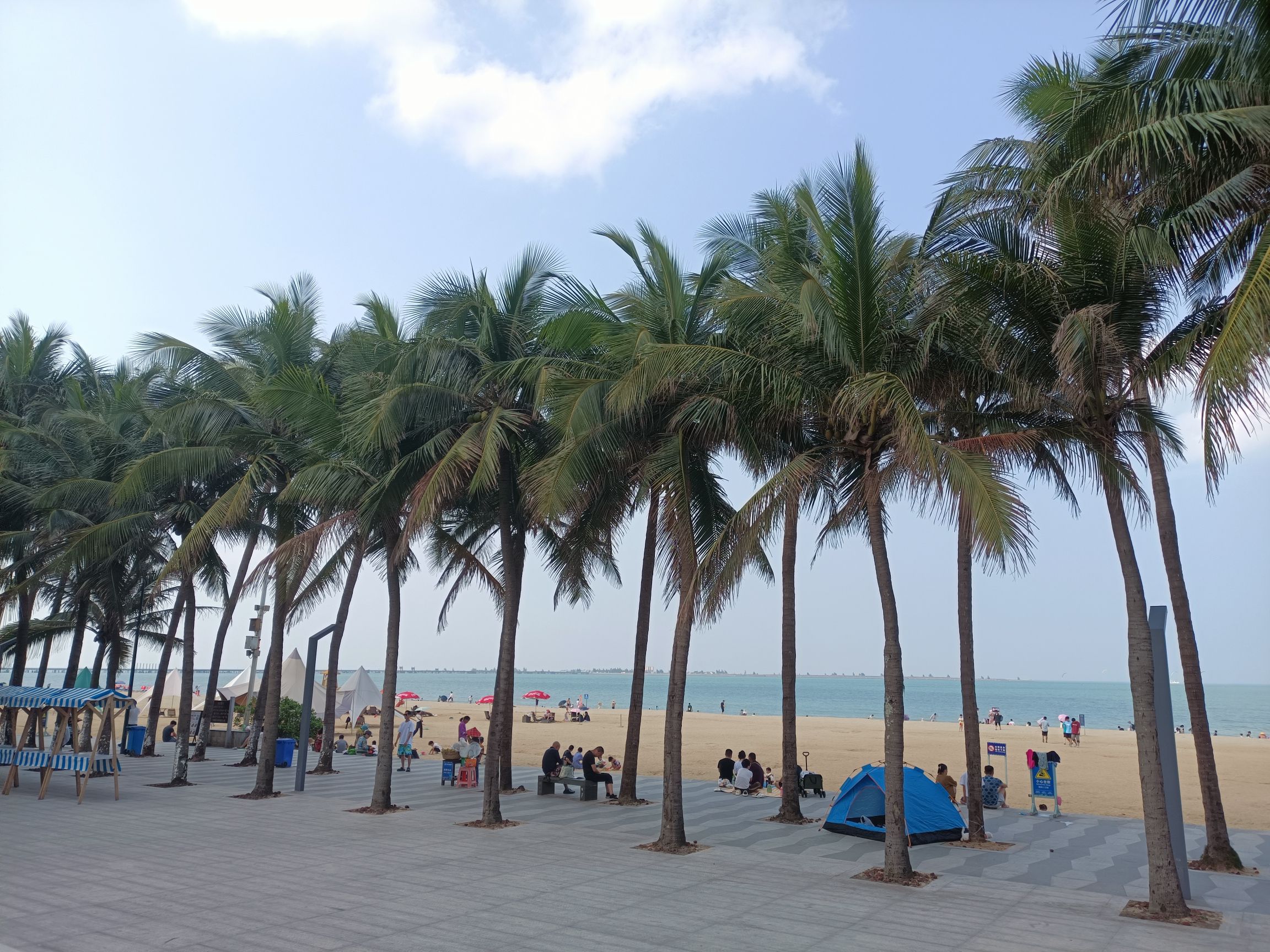 假日海滩旅游区旅行图片 3