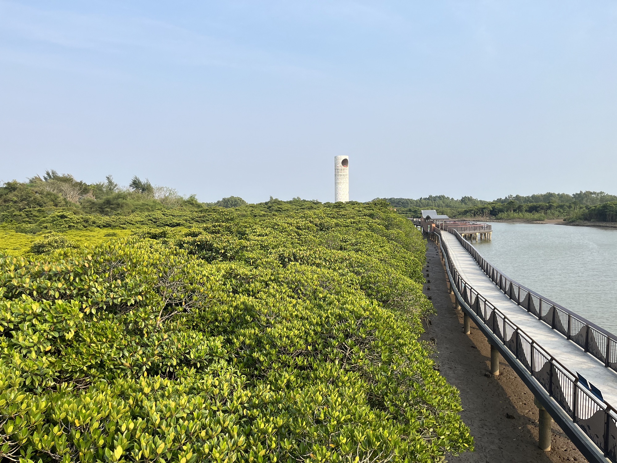 东寨港红树林旅游区旅行图片 2