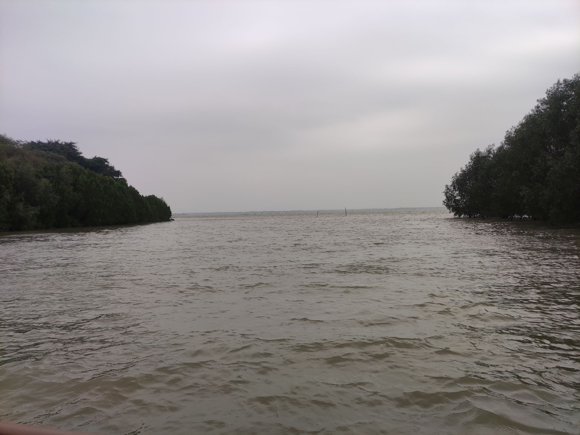 东寨港红树林旅游区旅行图片 2