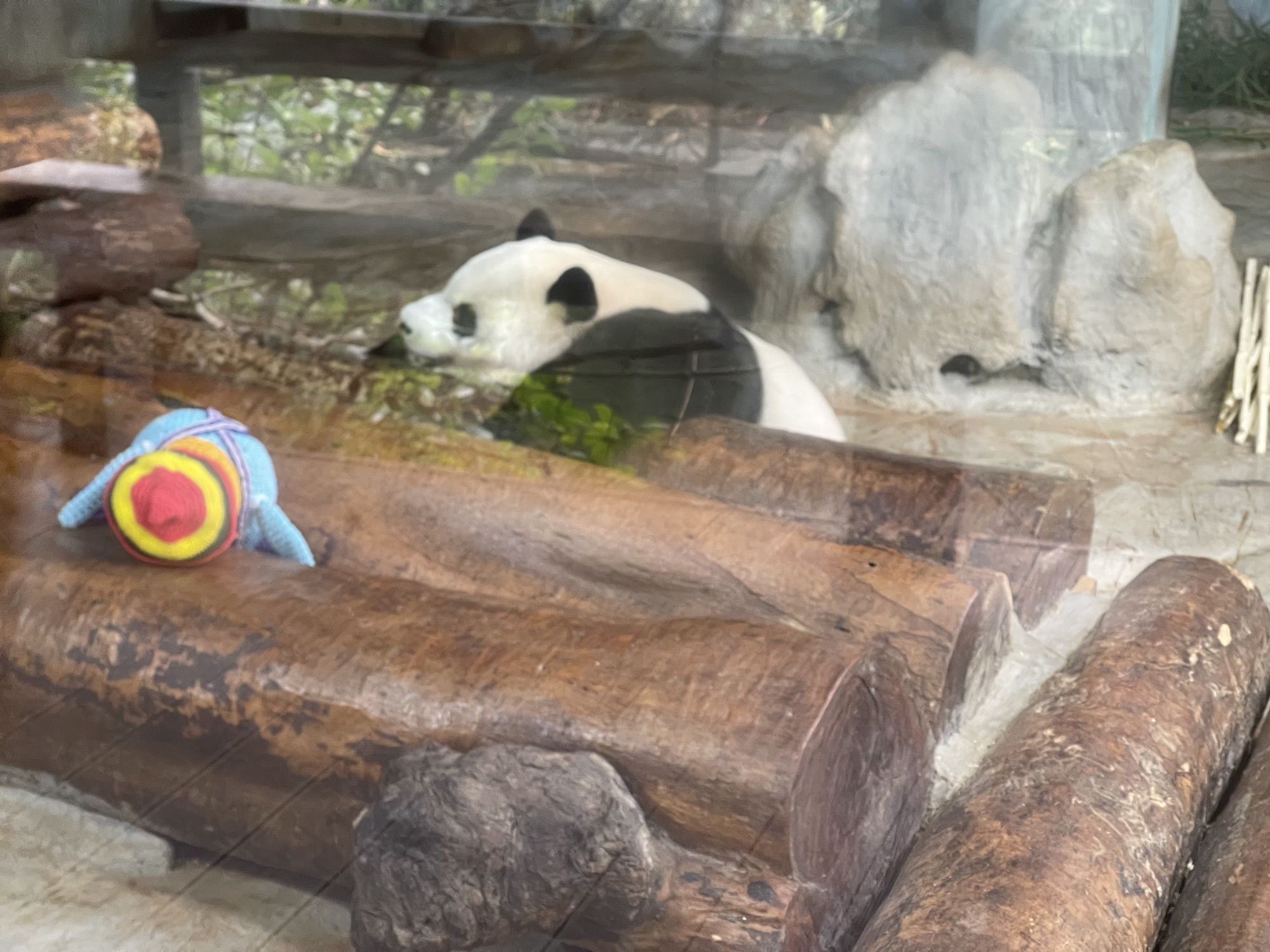 海南热带野生动植物园旅行图片 2