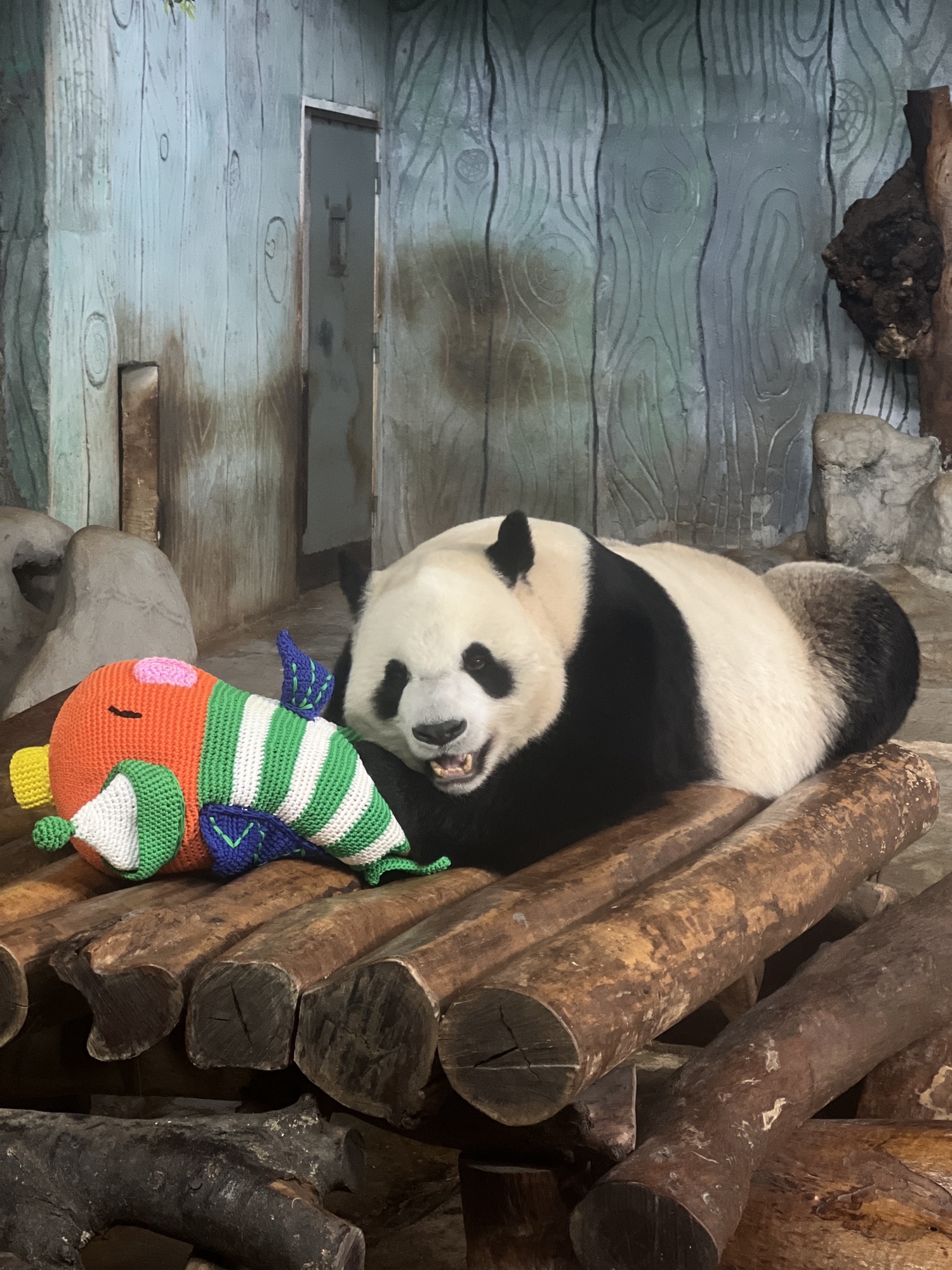 海南热带野生动植物园旅行图片 2