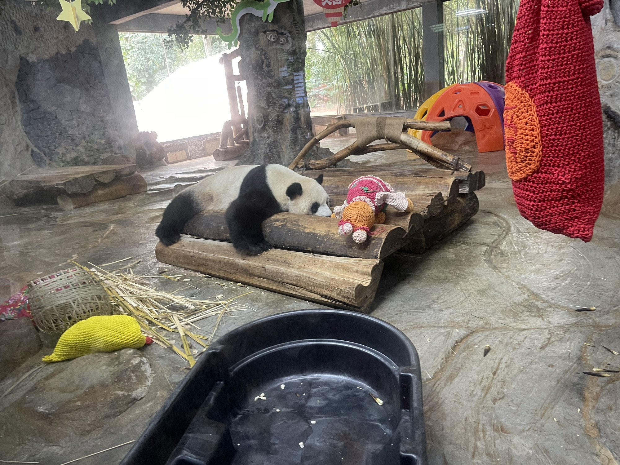海南热带野生动植物园旅行图片 1