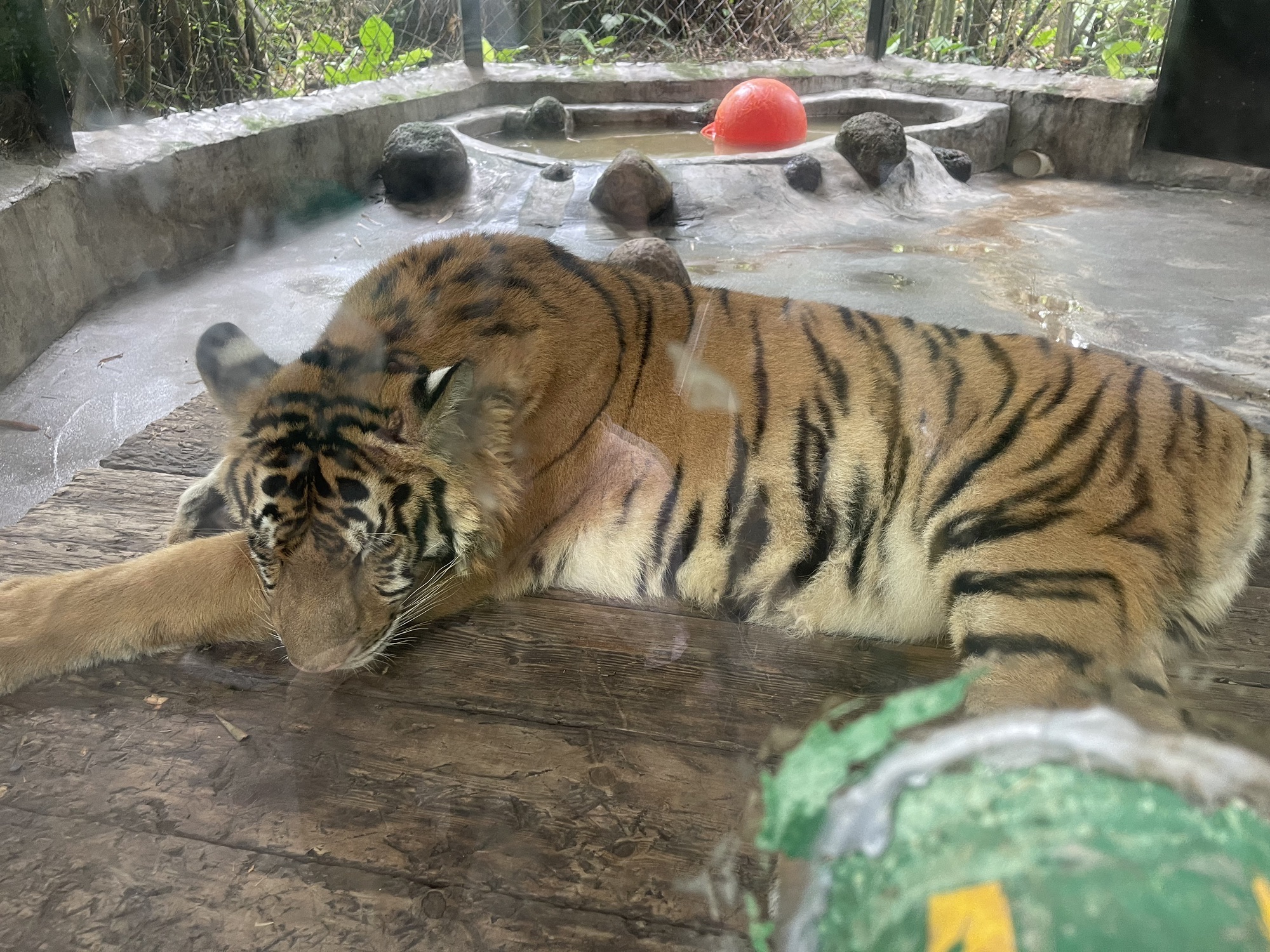 海南热带野生动植物园旅行图片 3