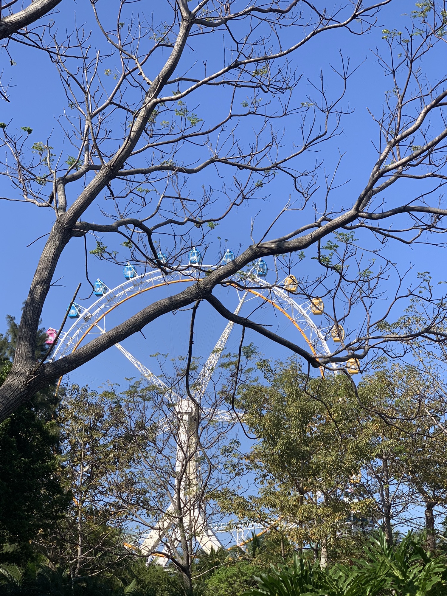 白沙门公园旅行图片 3