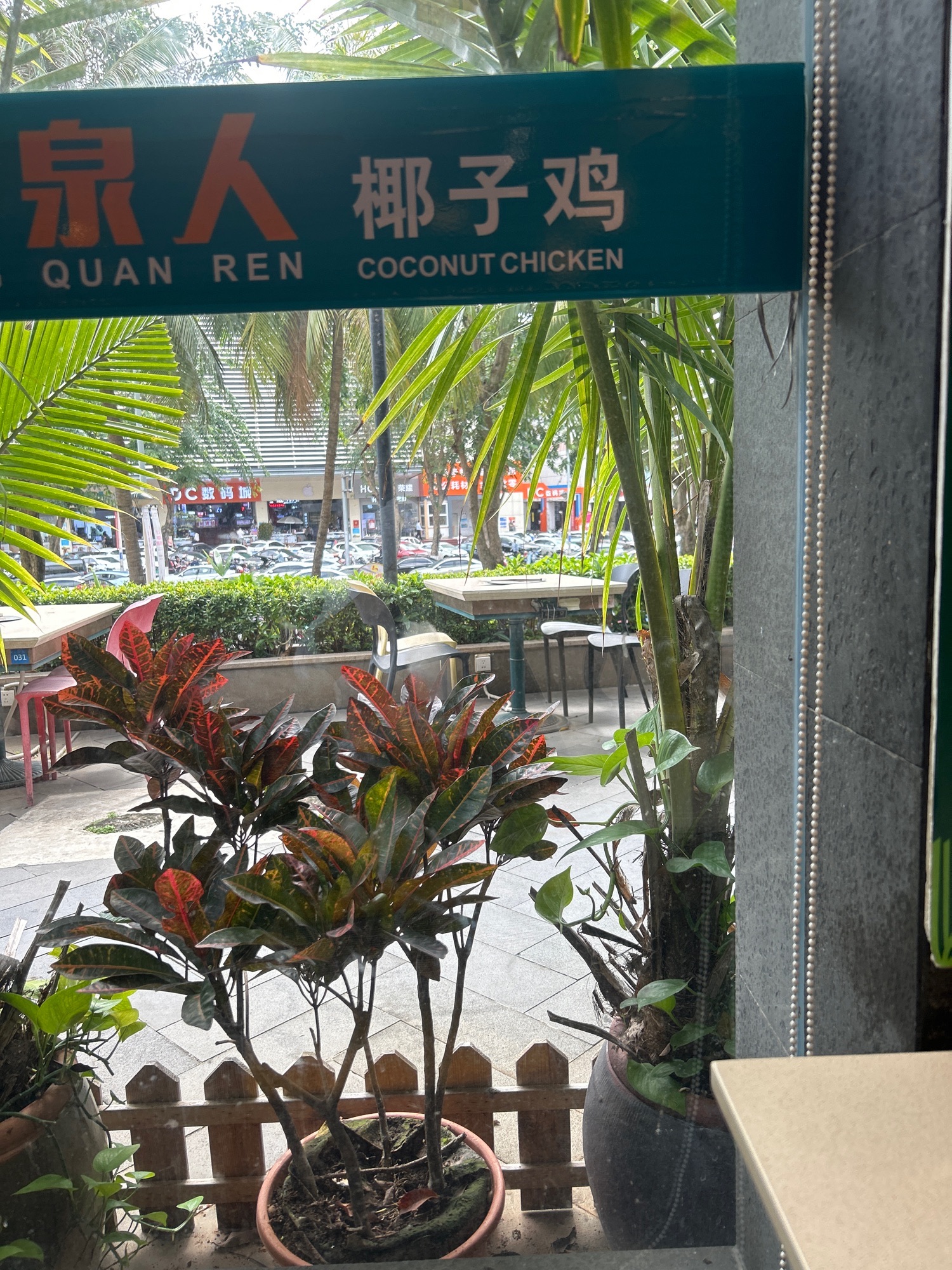 龙泉人椰子鸡【骑楼花园店】