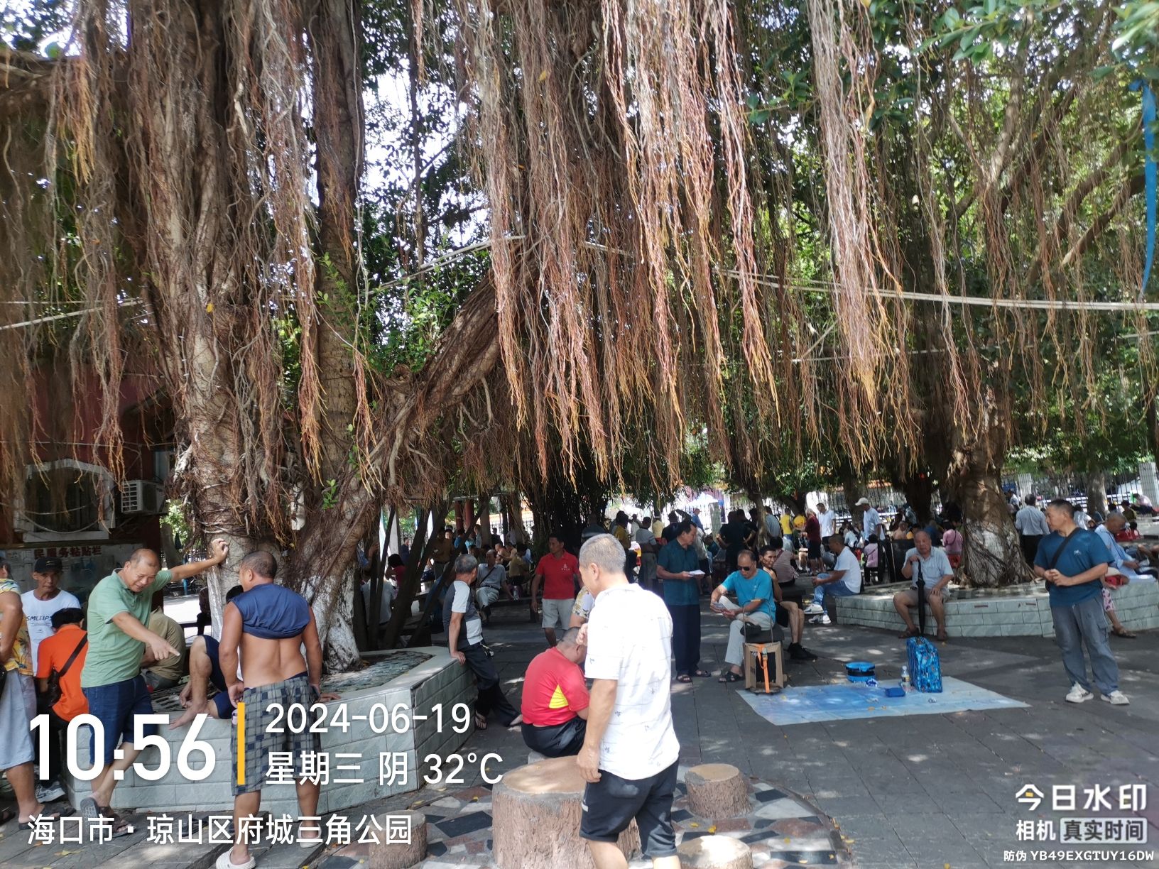 琼山区府城三角公园旅行图片 1