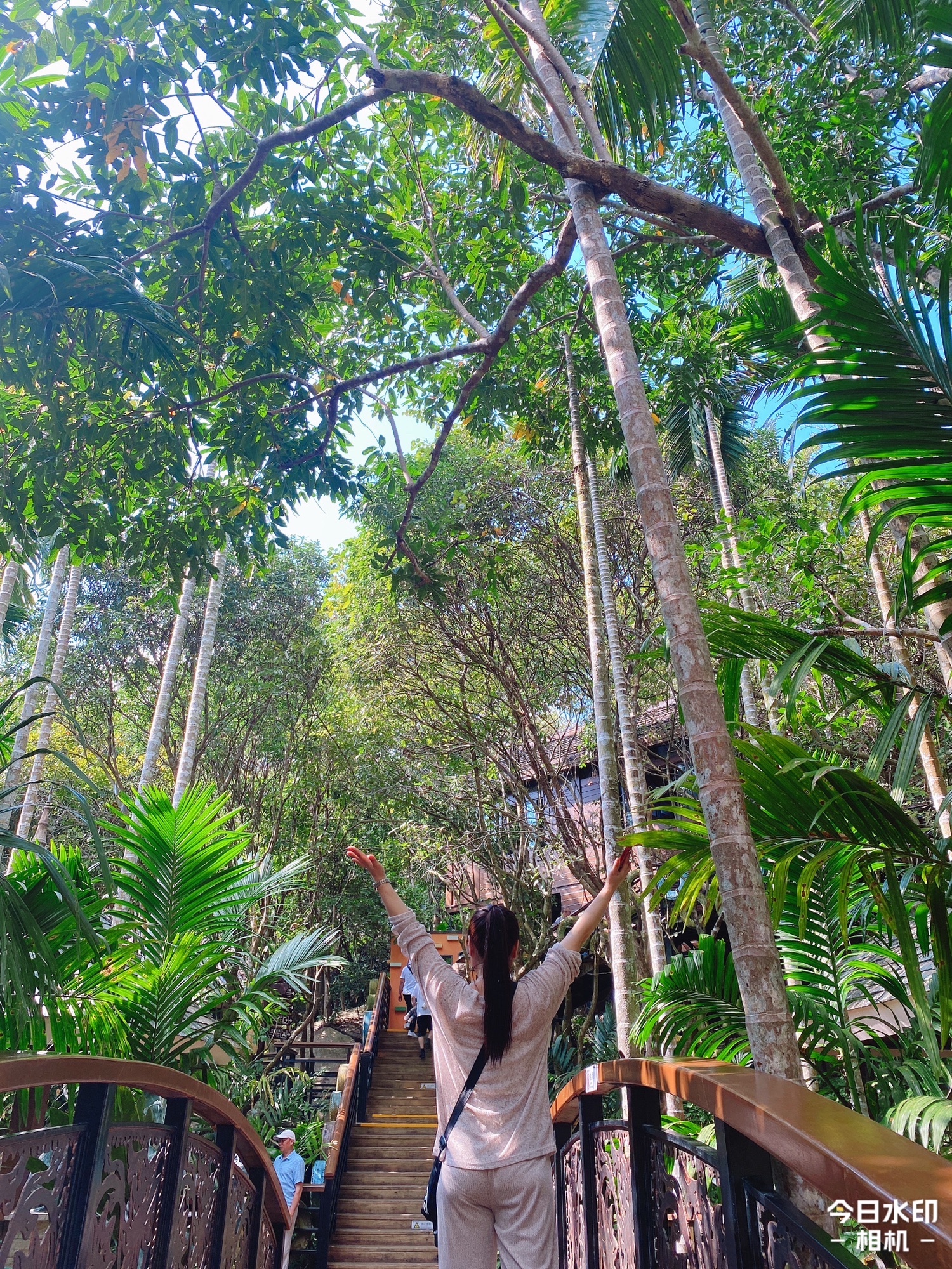 海南珍稀植物科技园旅行图片 2