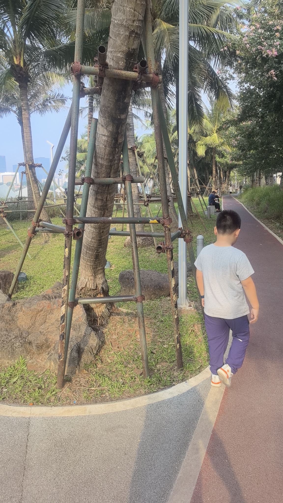 红城湖公园旅行图片 2