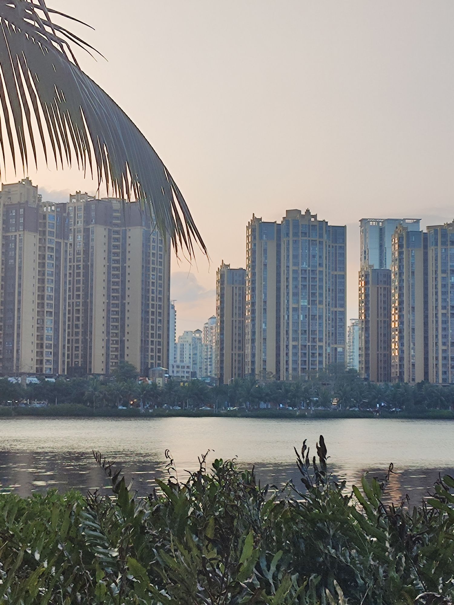 红城湖公园旅行图片 1