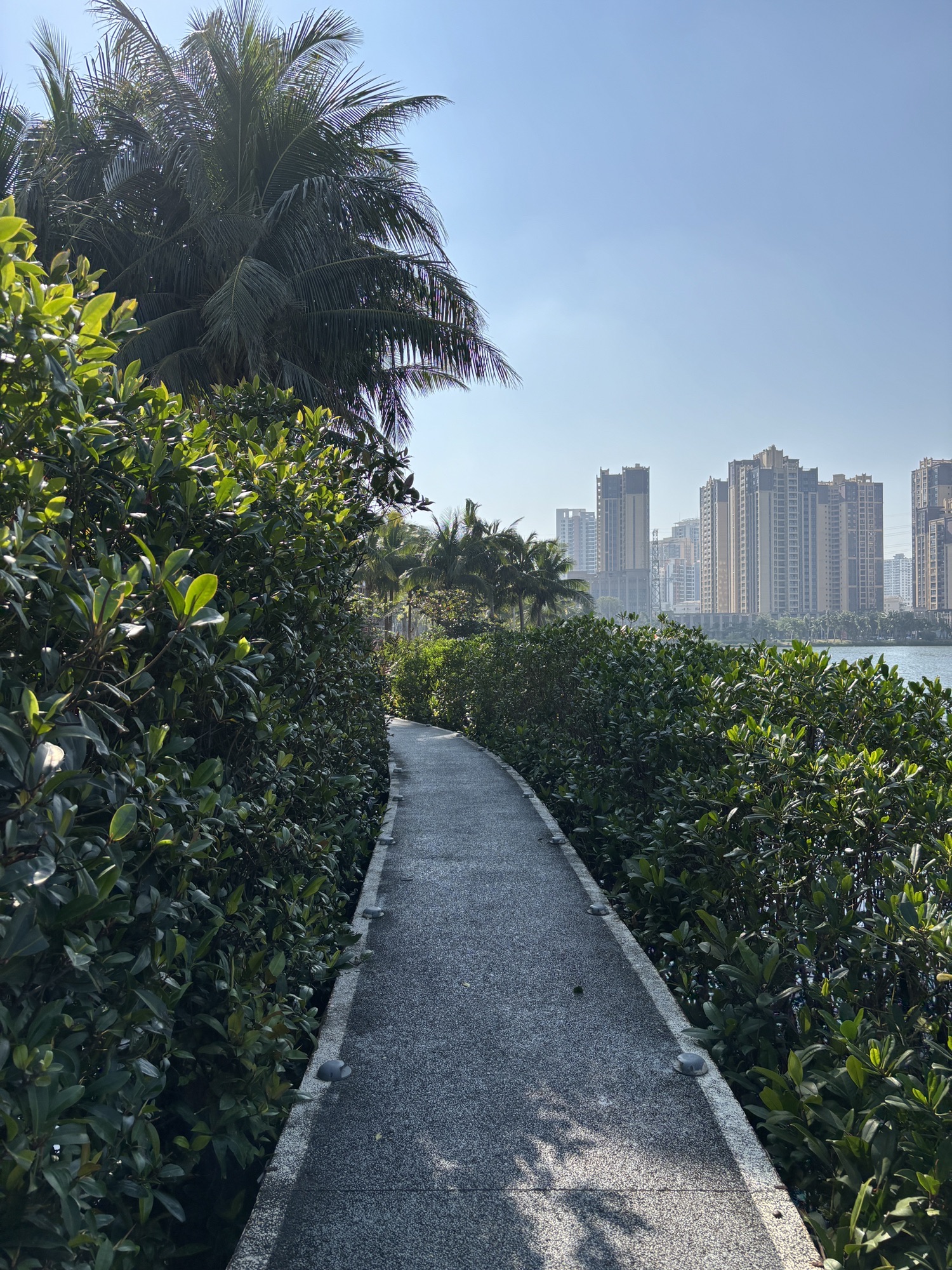 红城湖公园旅行图片 3