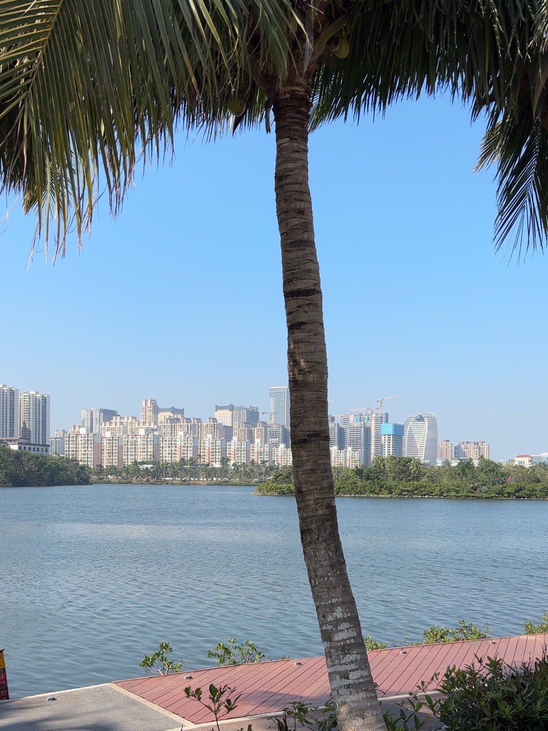 红城湖公园旅行图片 2