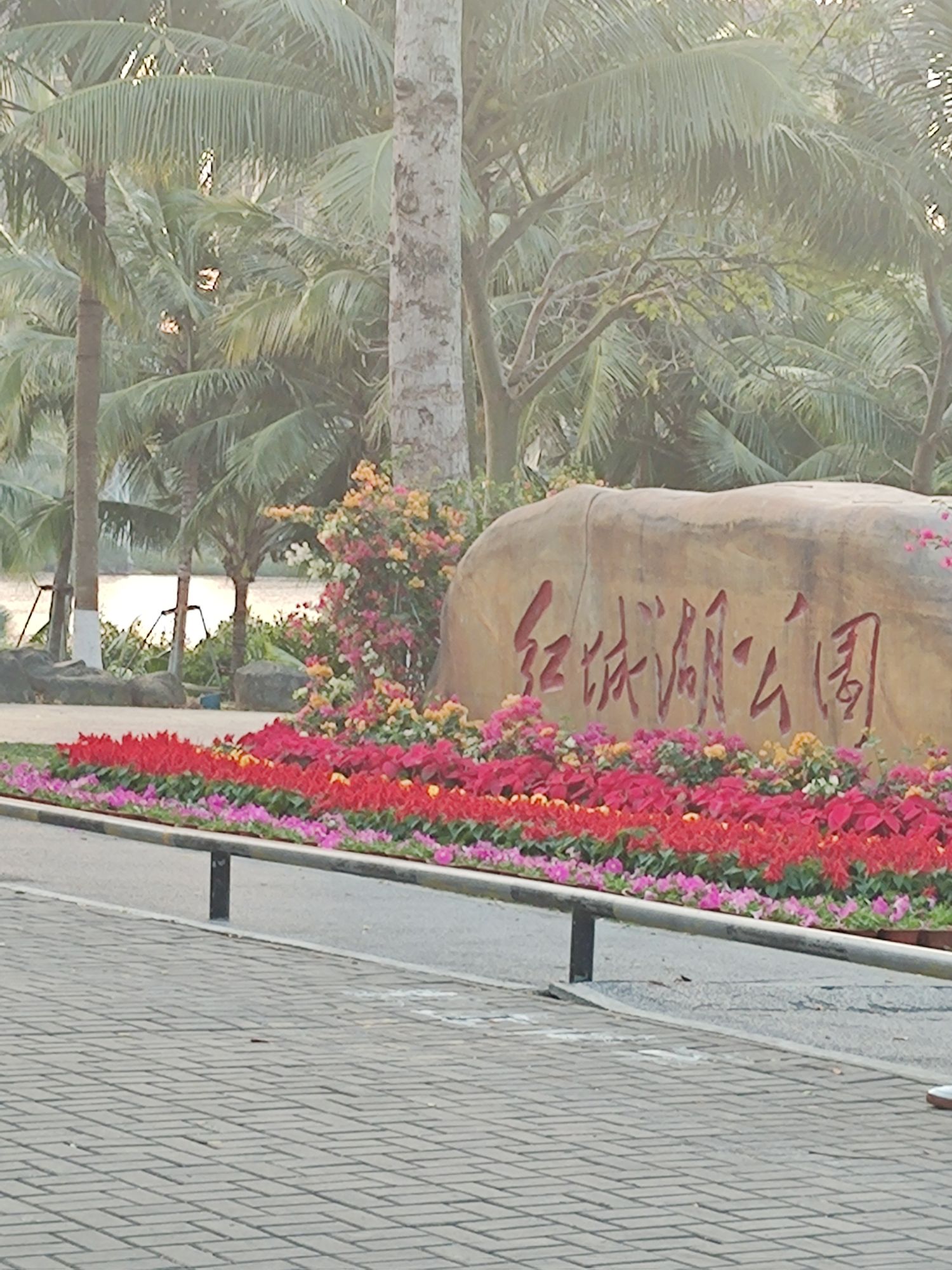 红城湖公园旅行图片 3