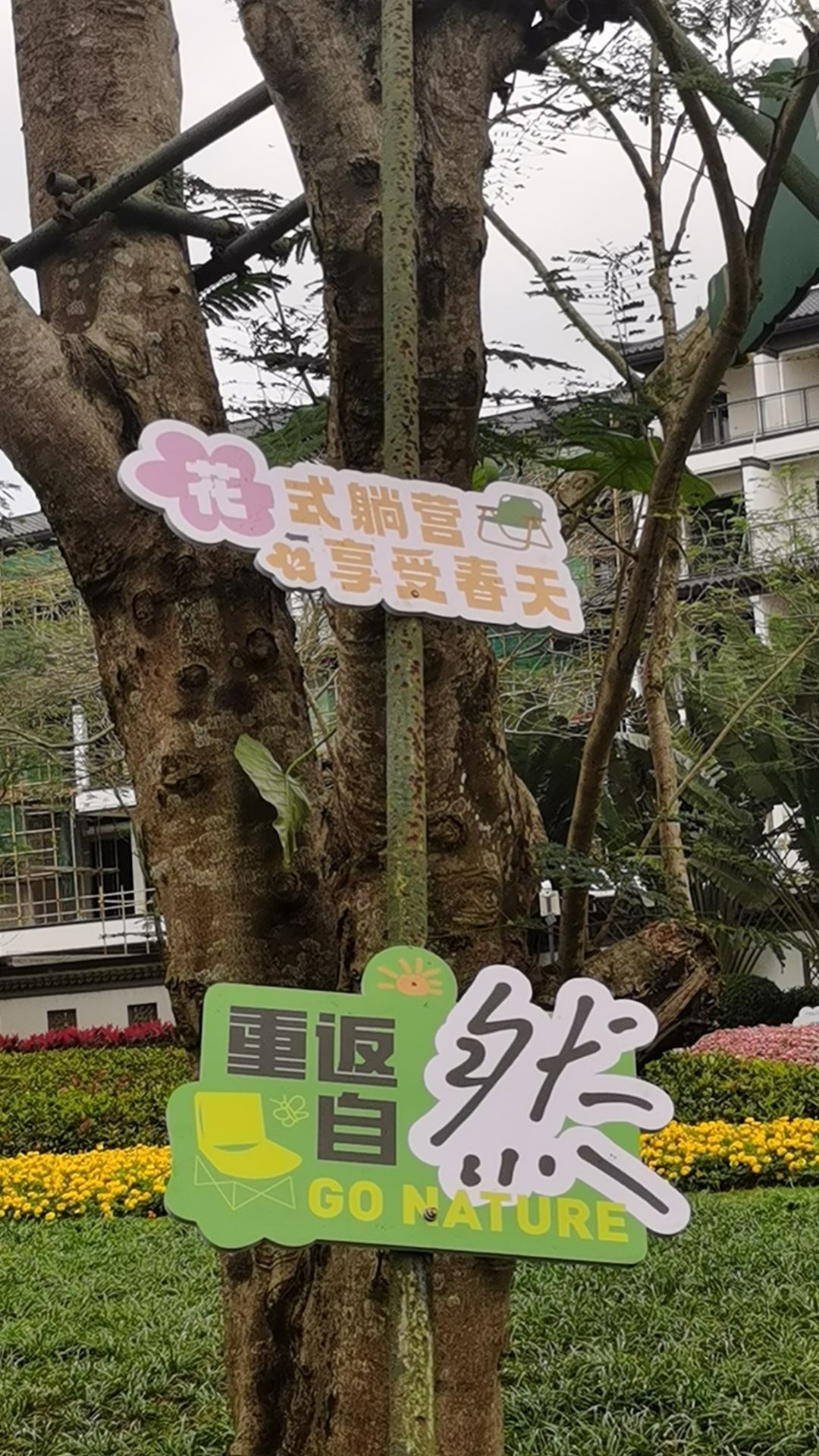 云龙水库旅行图片 2