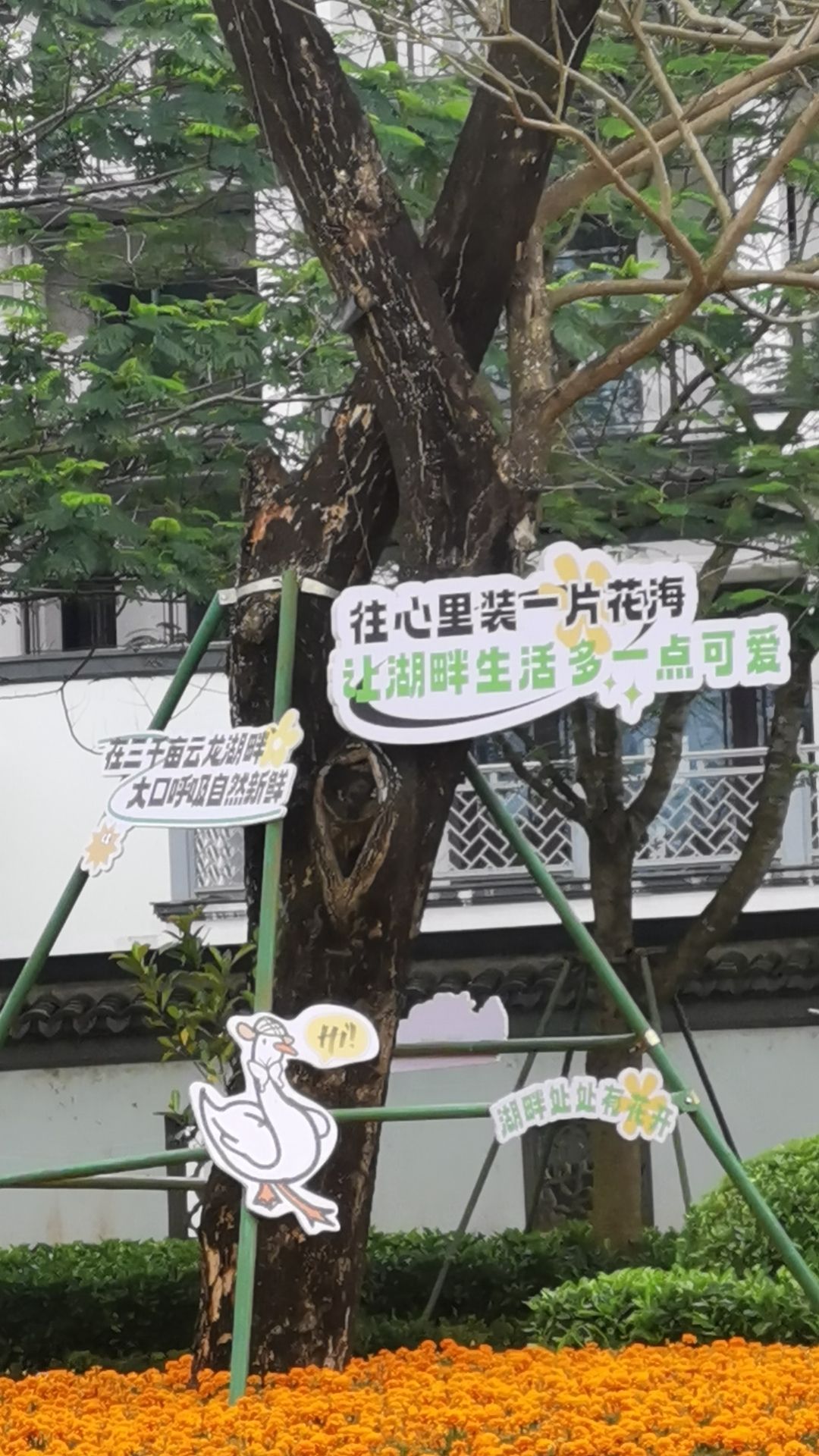 云龙水库旅行图片 1