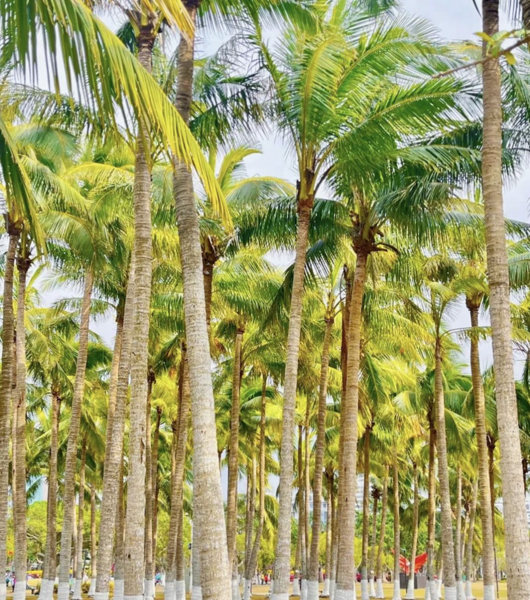 海口湾休闲区