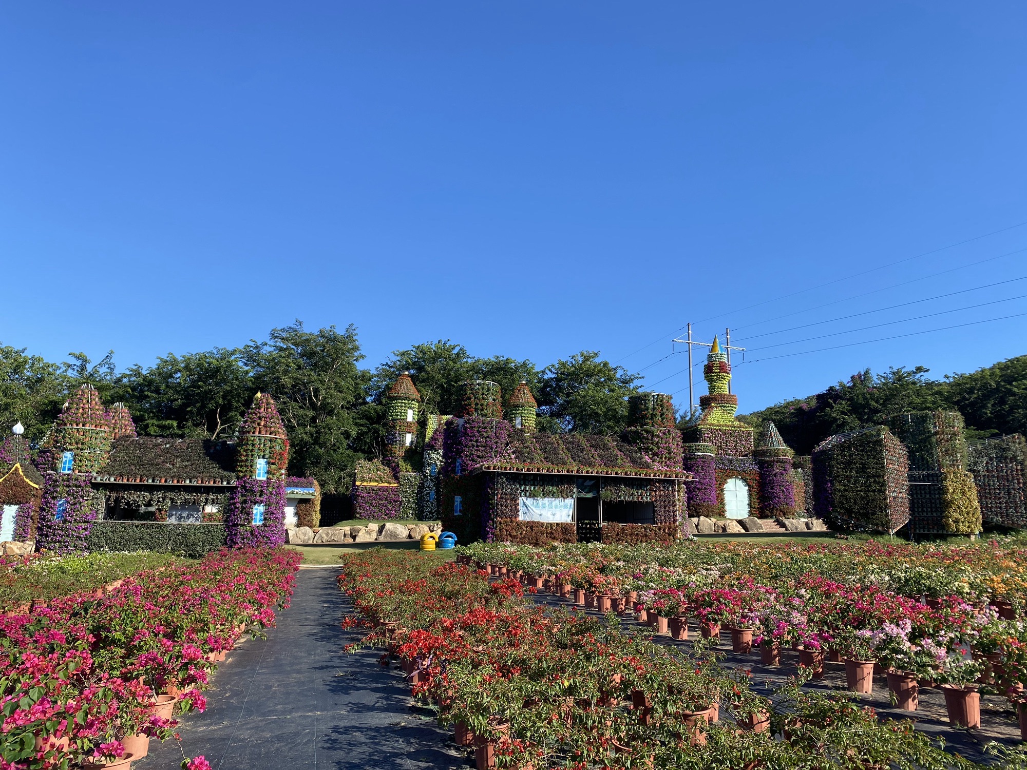天行森林公园旅行图片 1