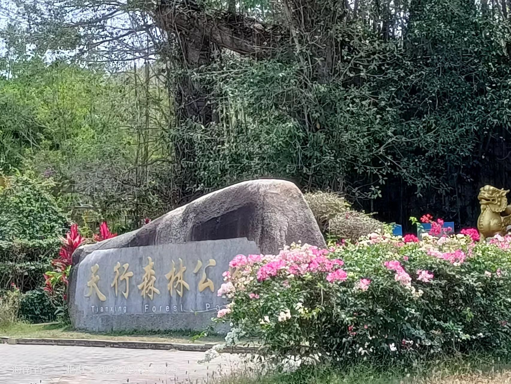 天行森林公园旅行图片 3