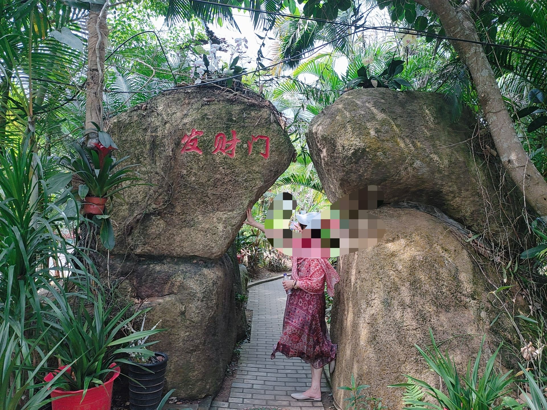 天行森林公园旅行图片 2