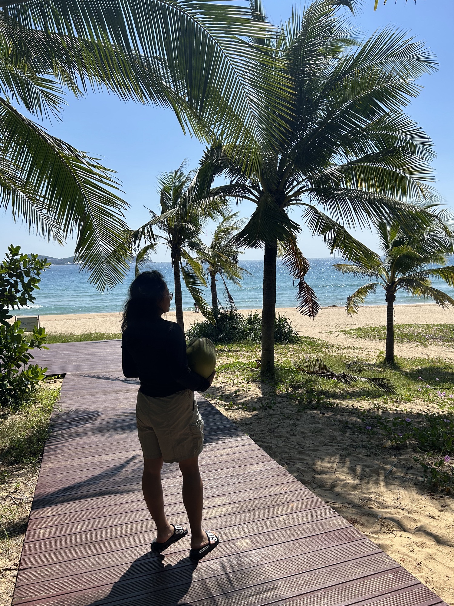 海棠广场旅行图片 2
