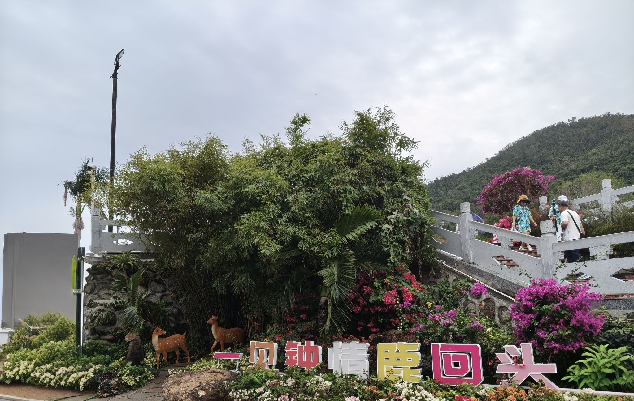 鹿回头风景区旅行图片 1