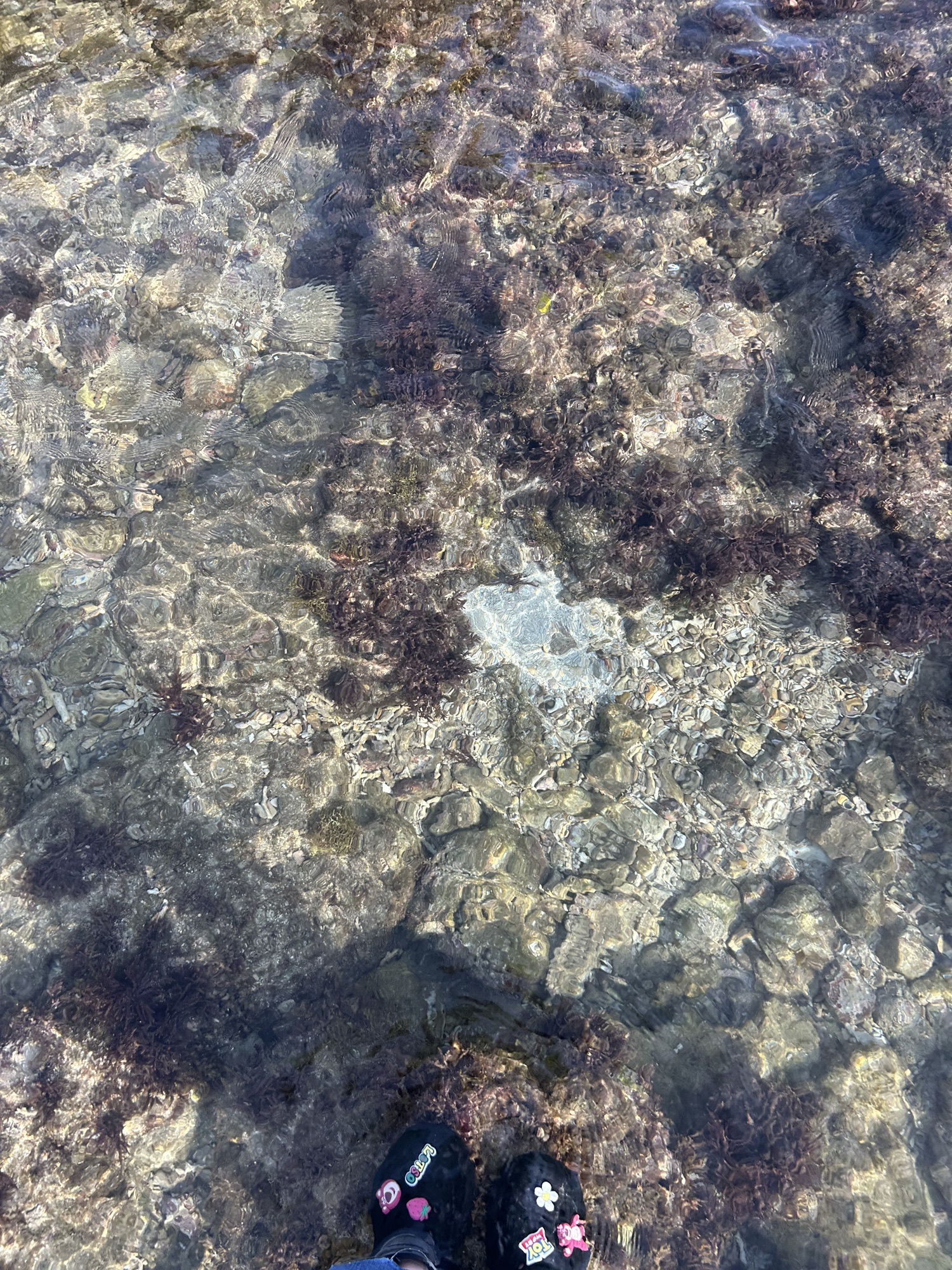 小东海旅行图片 1