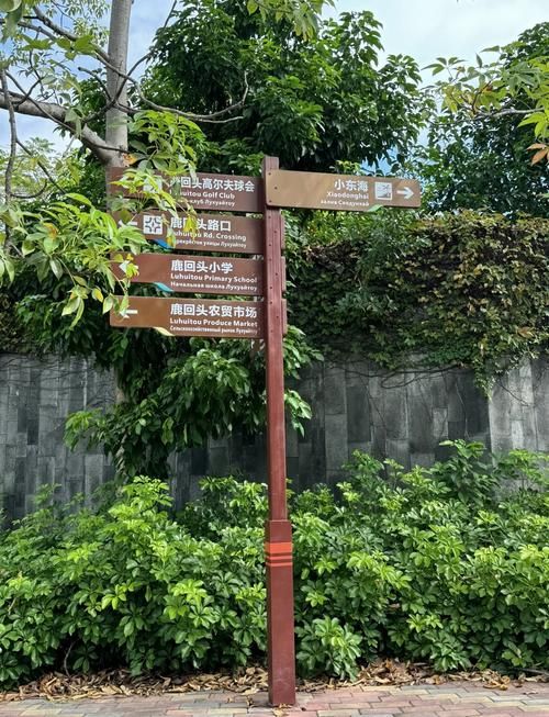 小东海旅行图片 2