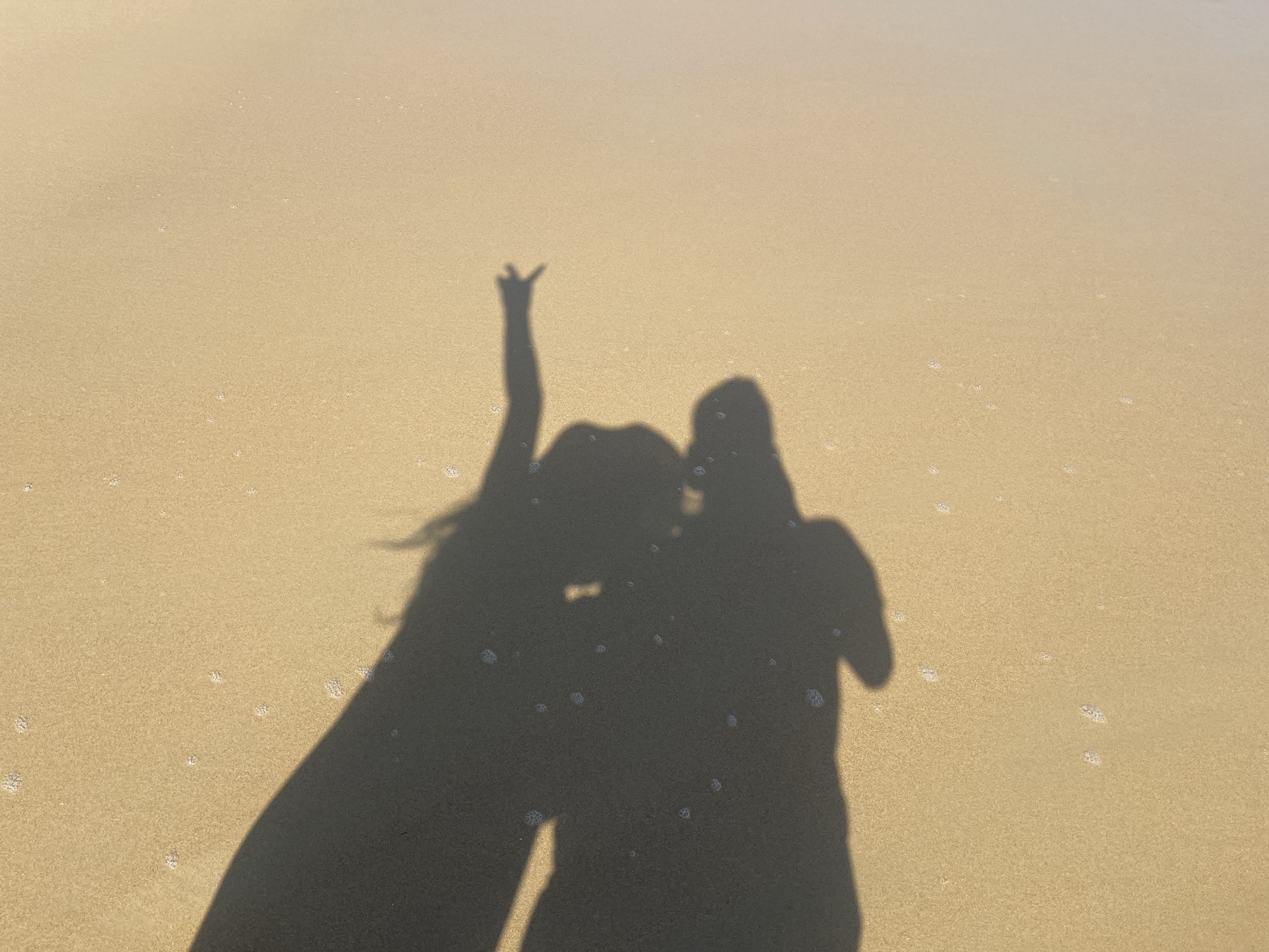 后海湾旅行图片 1