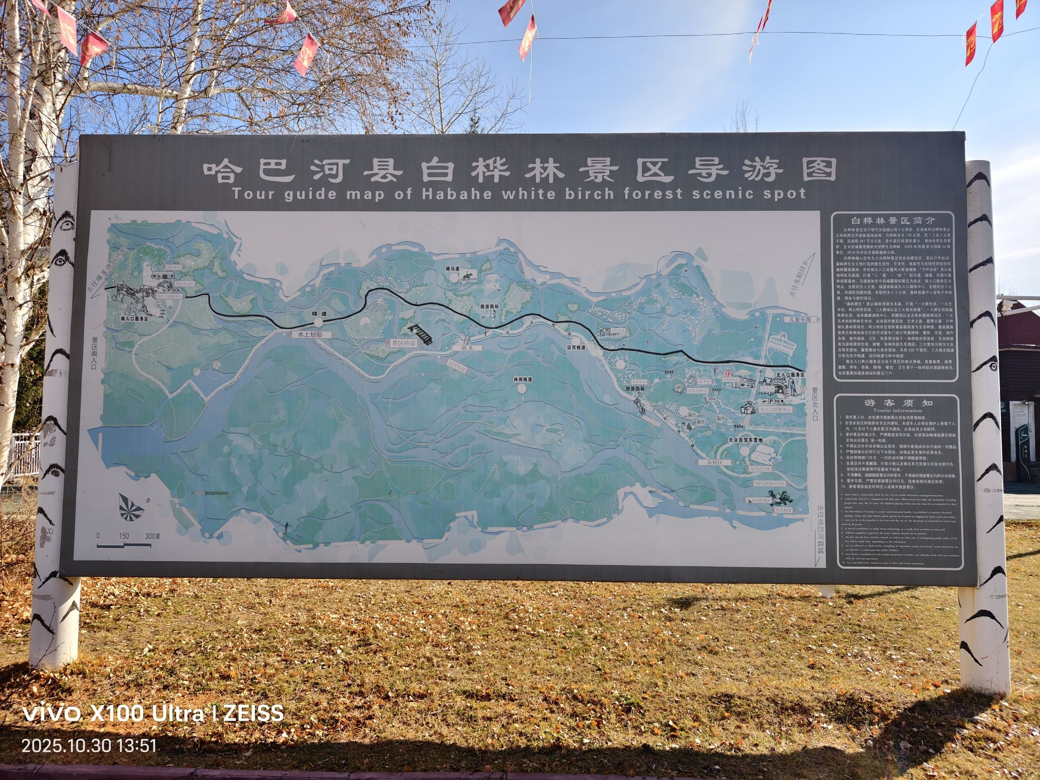 白桦林景区景点图片