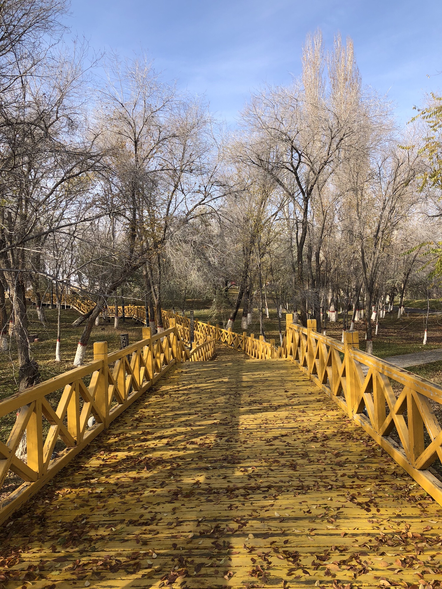 博乐滨河公园