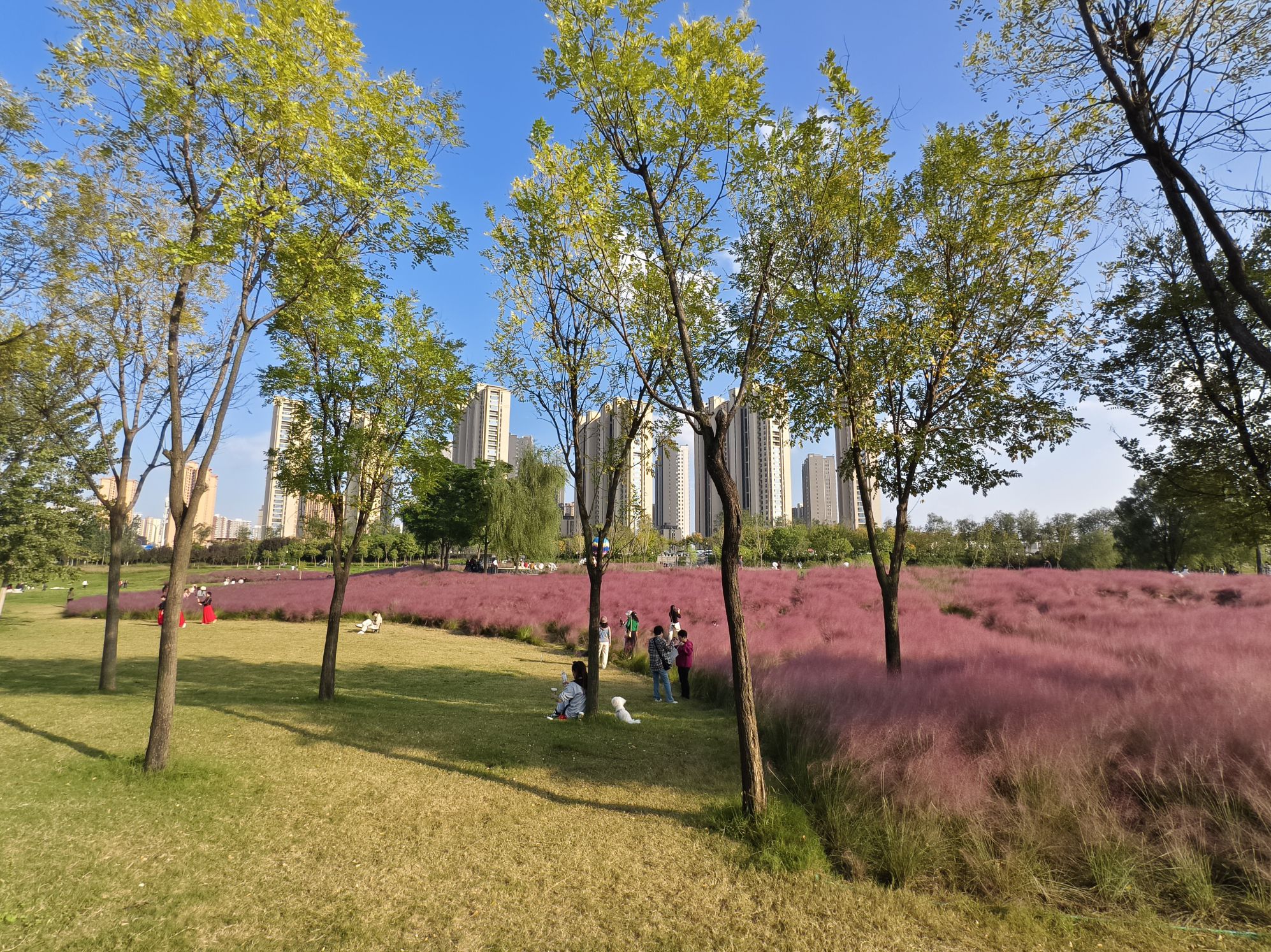 统一广场景点图片