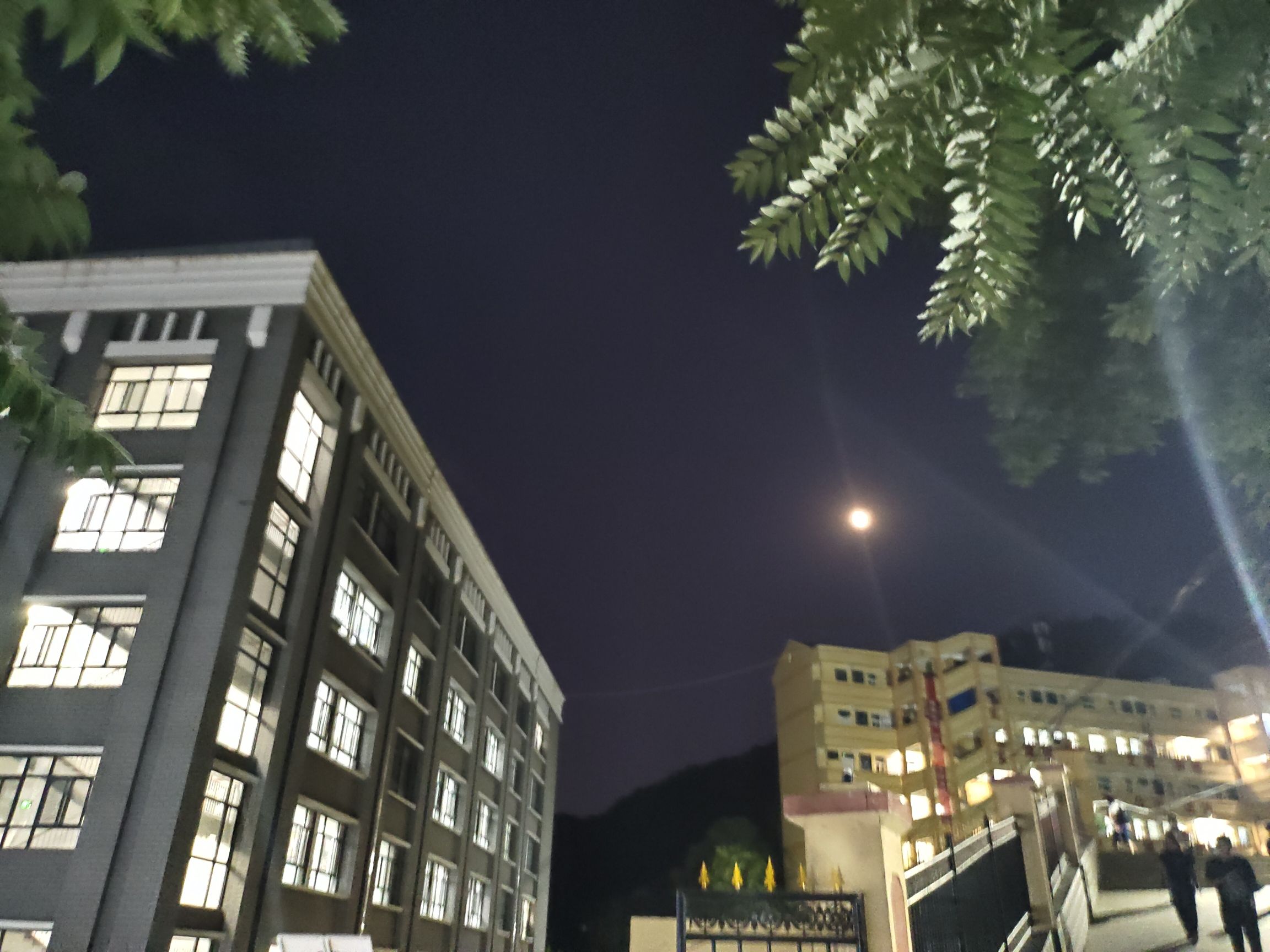 延安职业技术学院附属中学