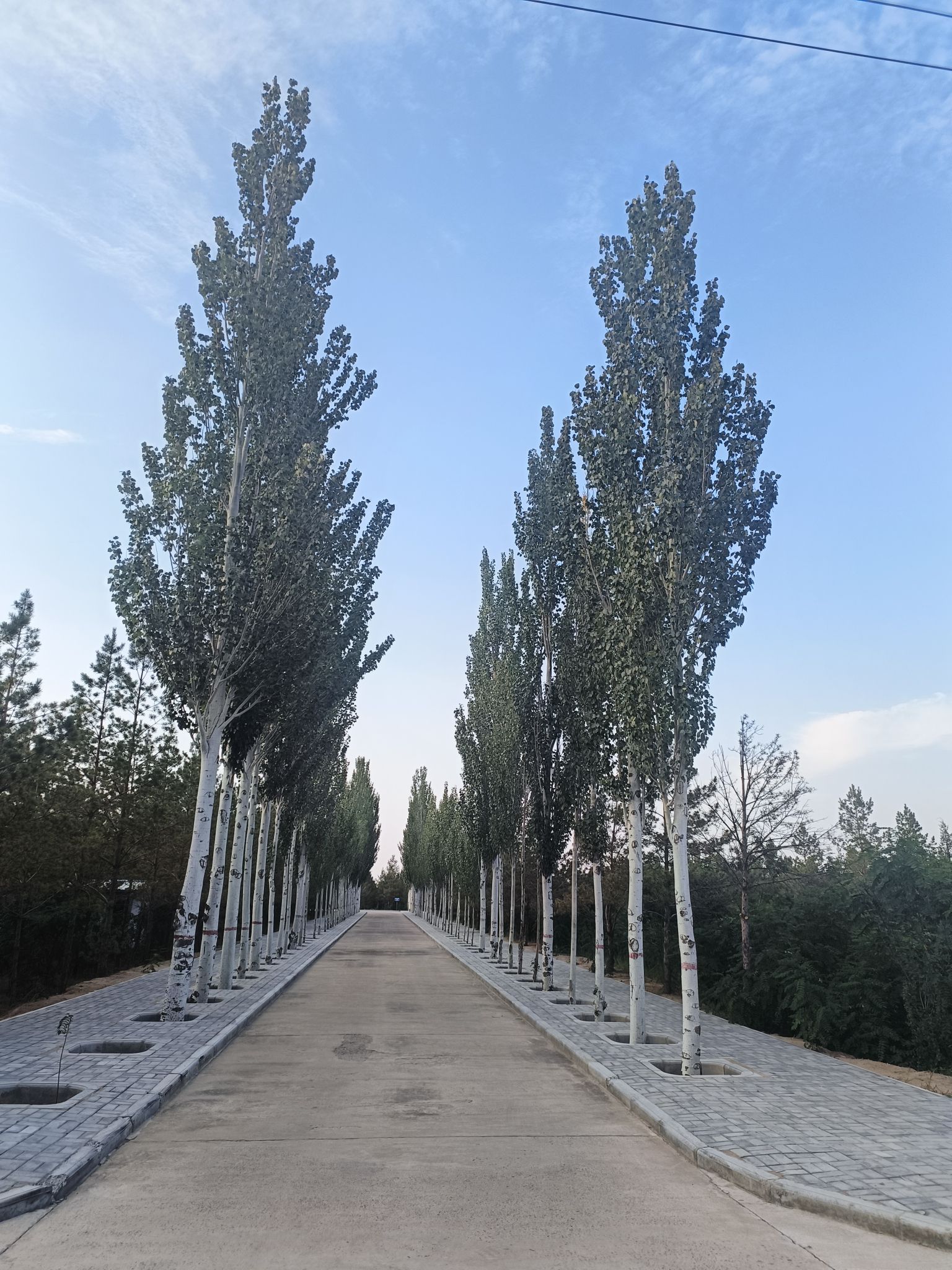 石光银治沙展馆的第3张图片的图片资料