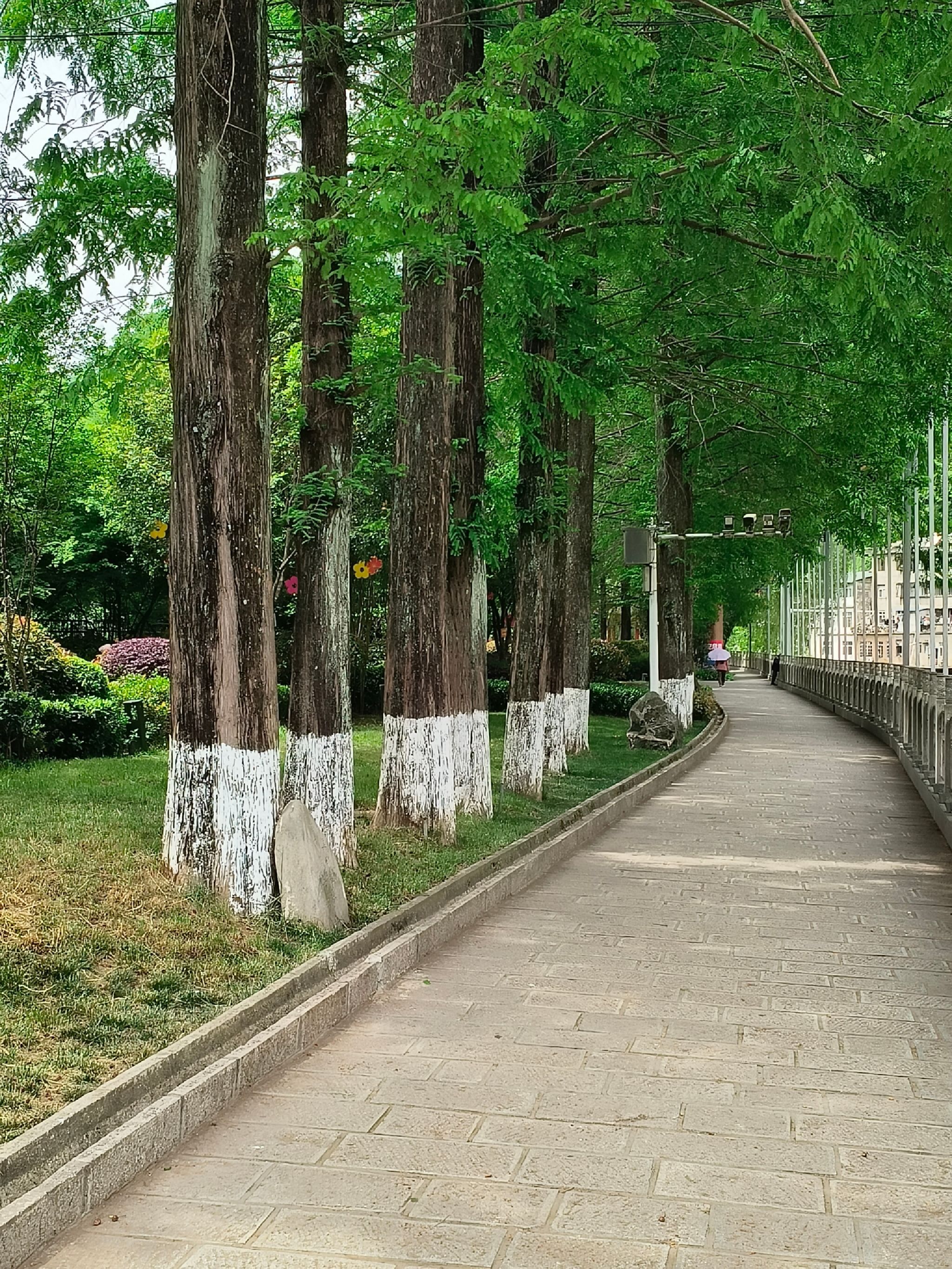 滨河公园