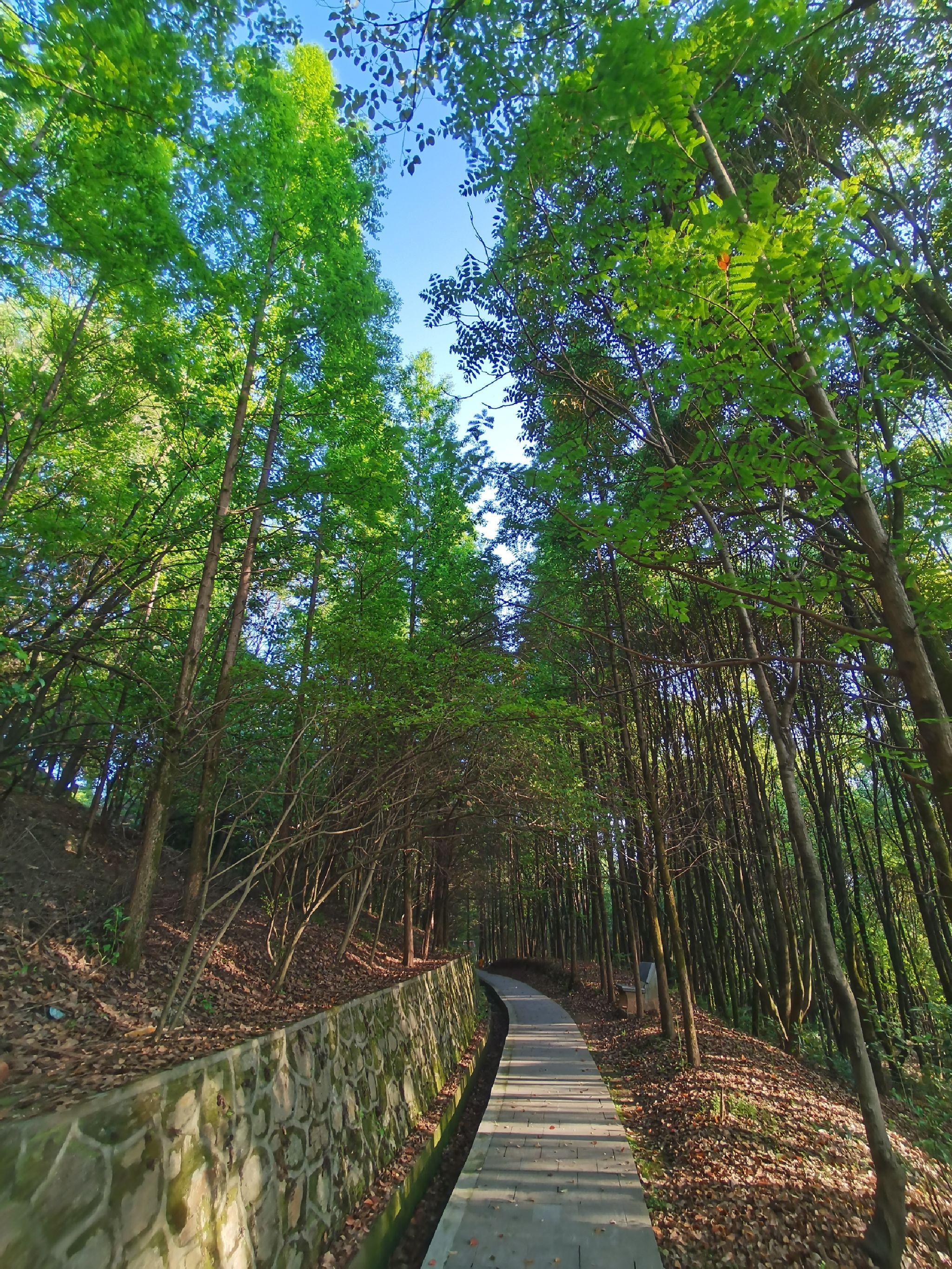 龙岗公园
