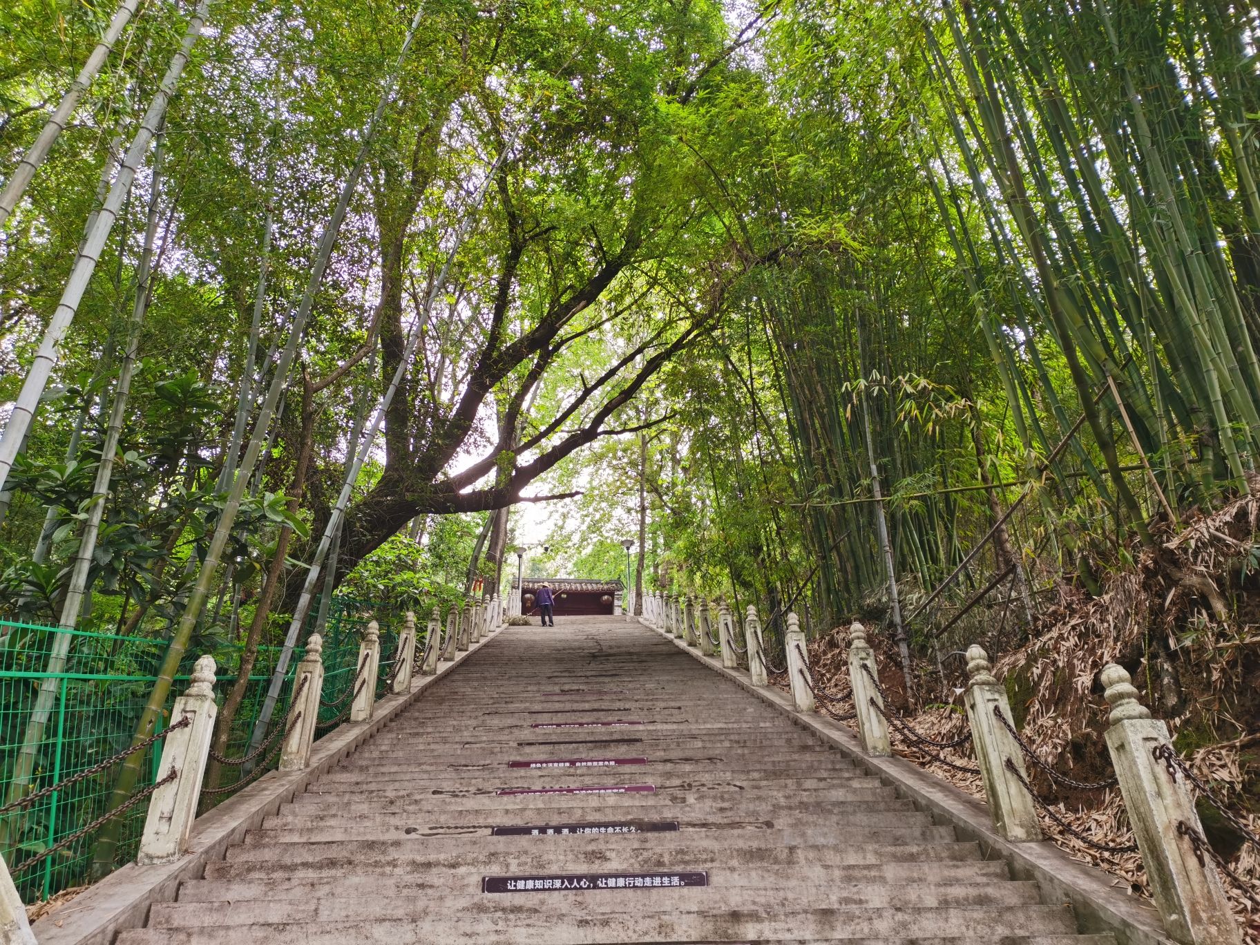 龙岗公园