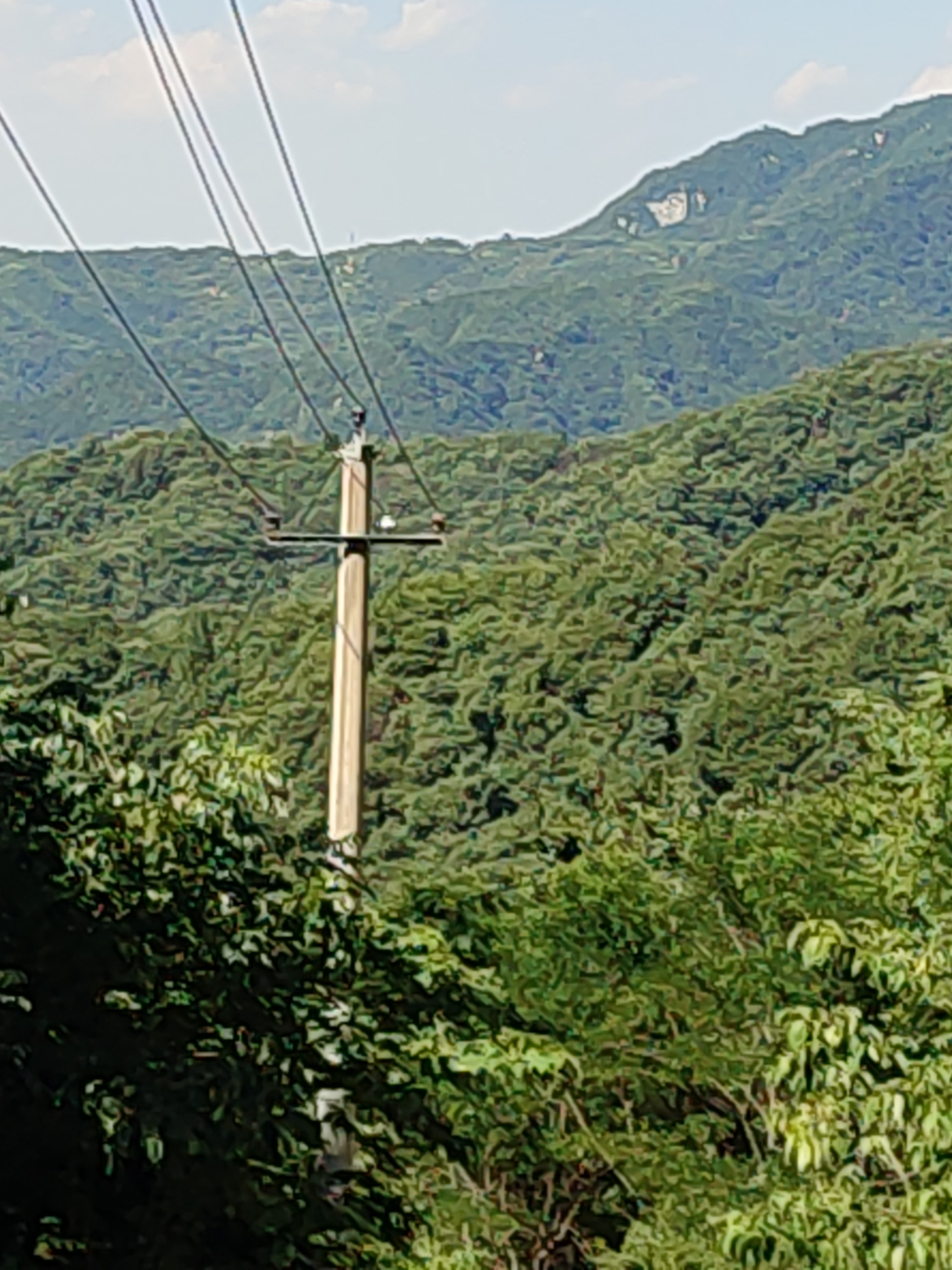 平河梁森林公园(不对外开放)