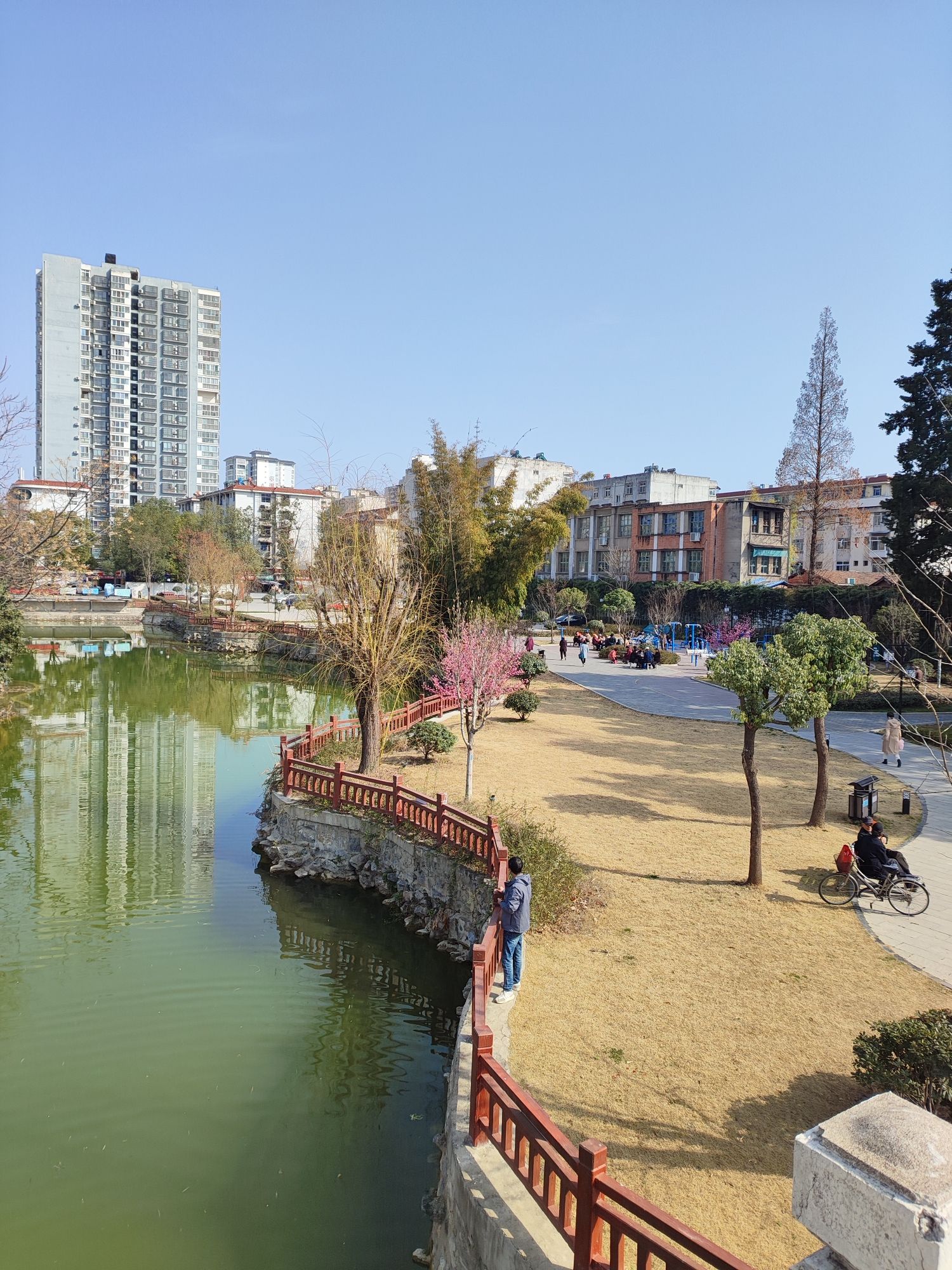 莲花池公园