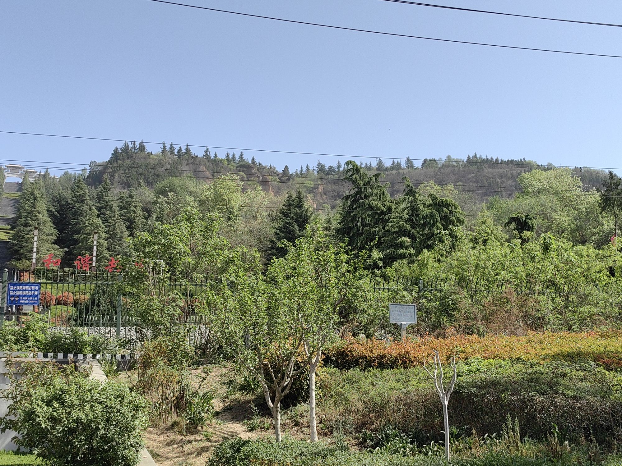 宝鸡北坡森林公园