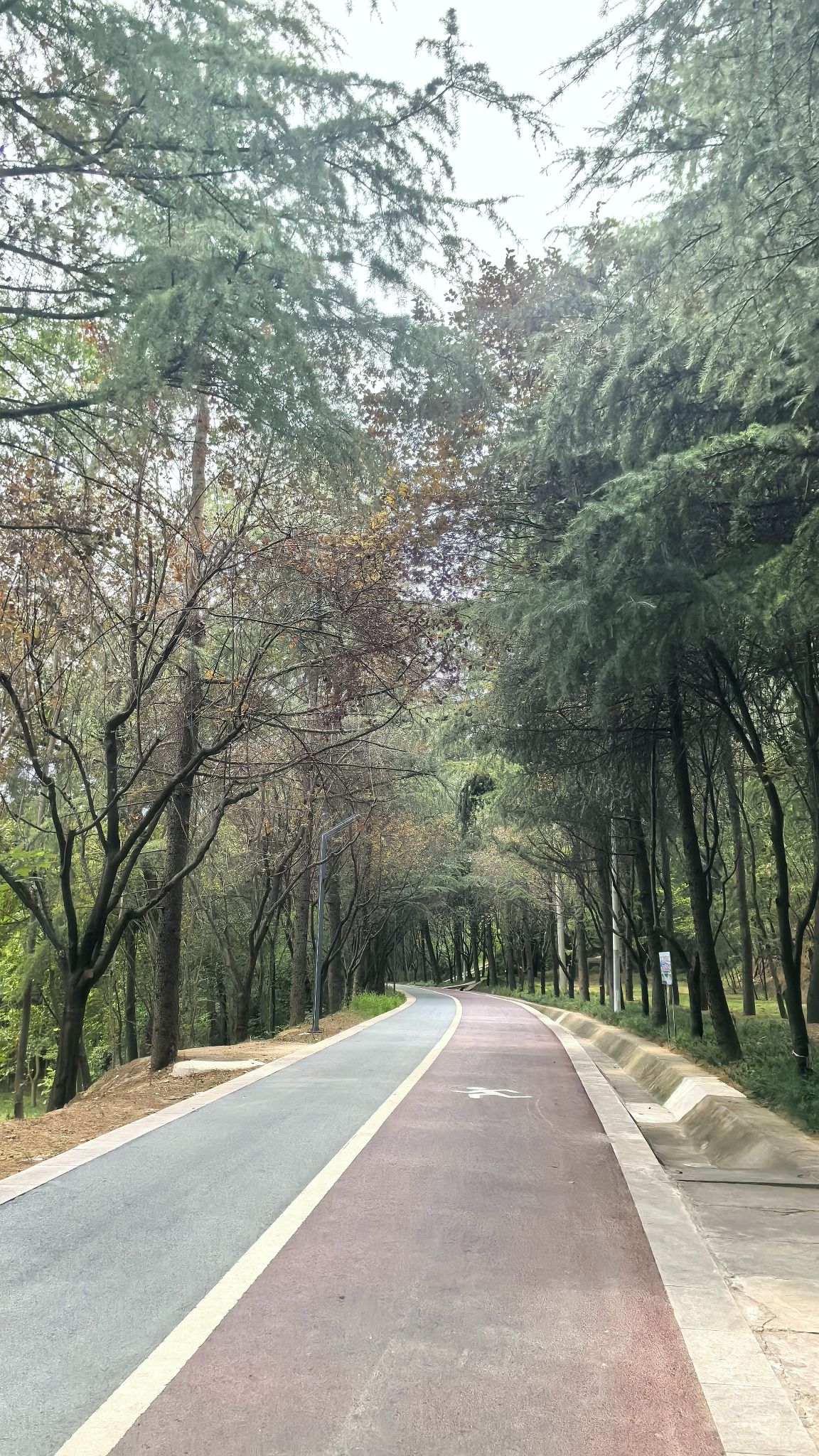 宝鸡北坡森林公园