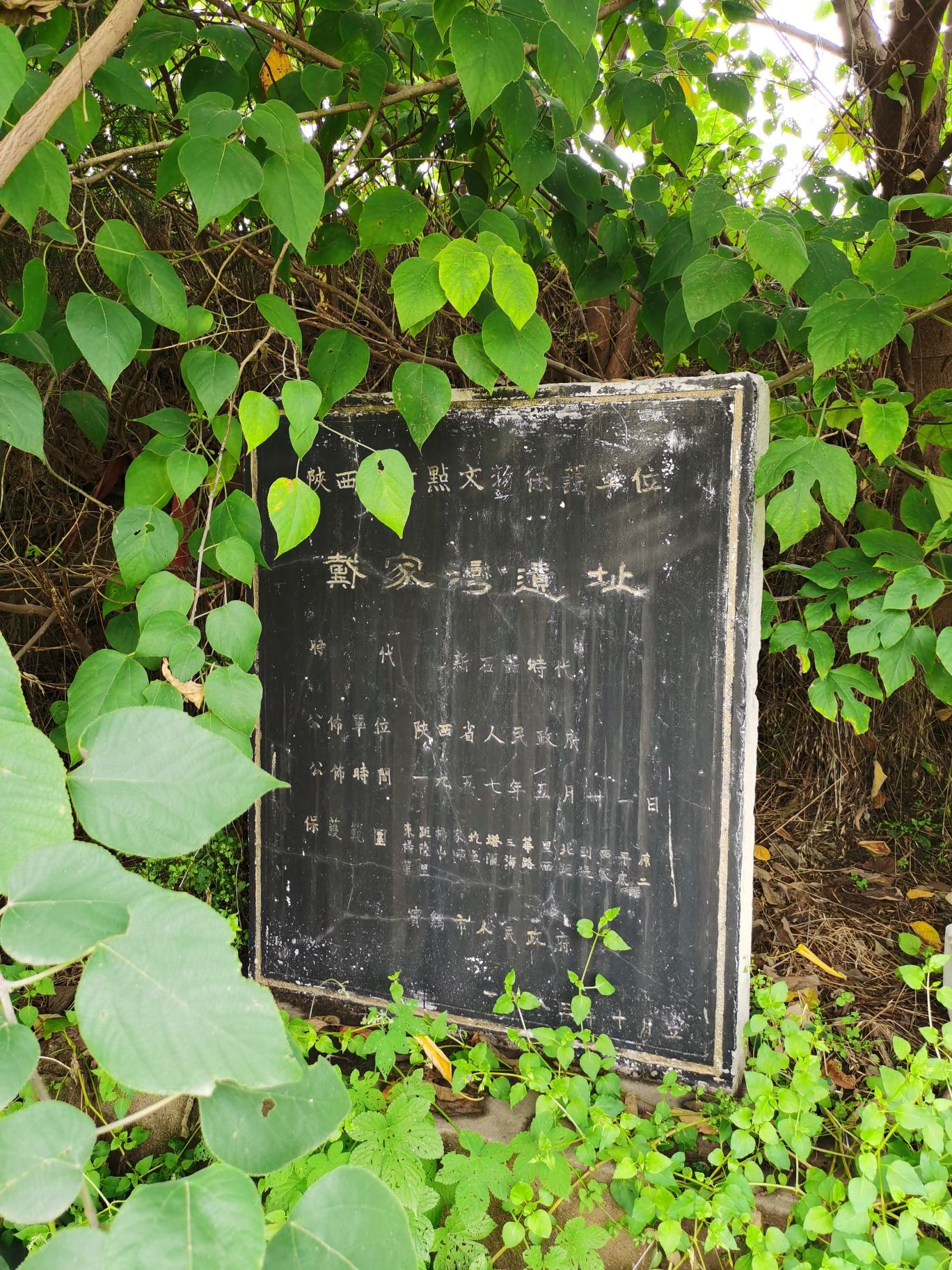 戴家湾遗址