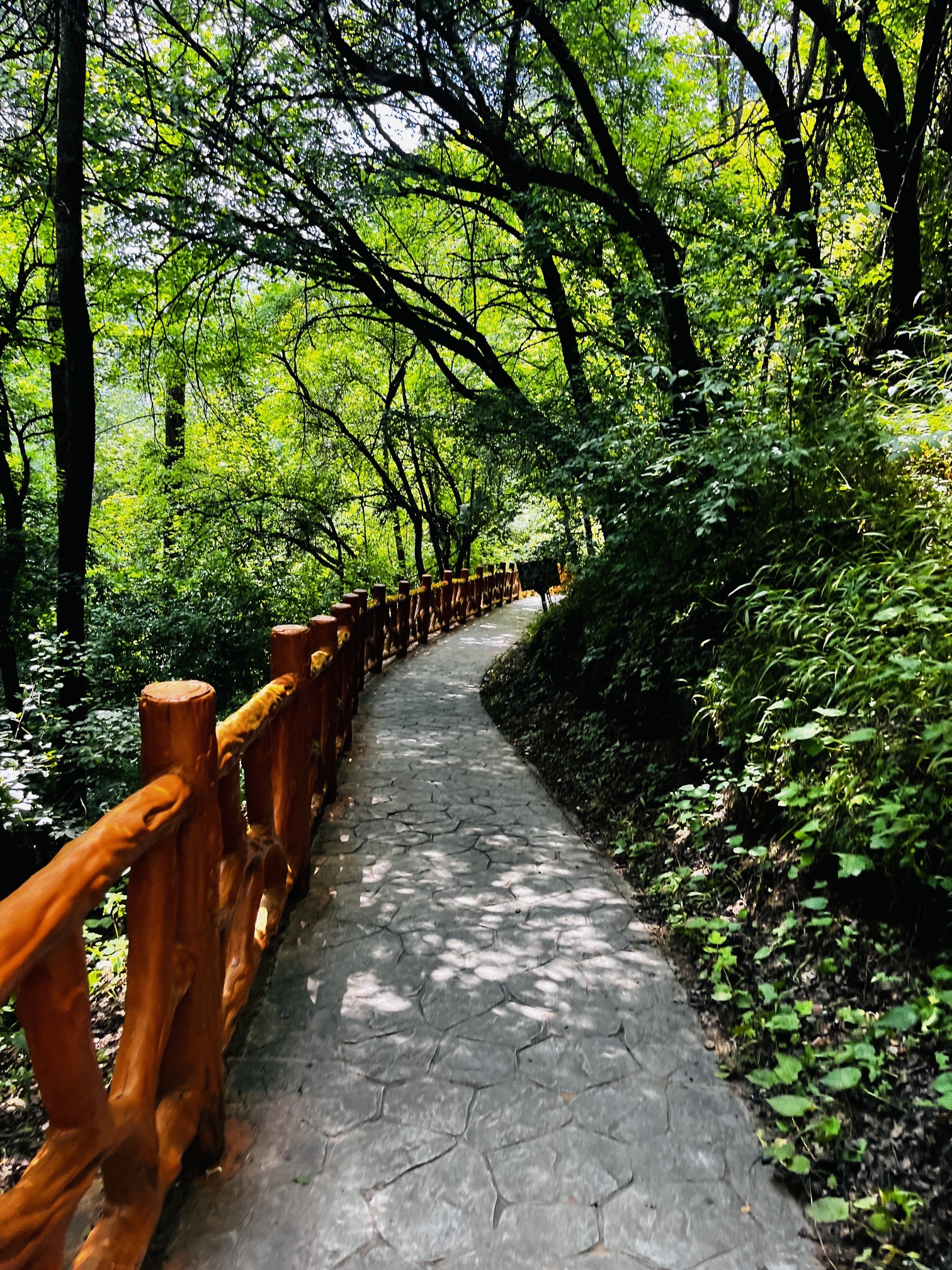 首阳山景区