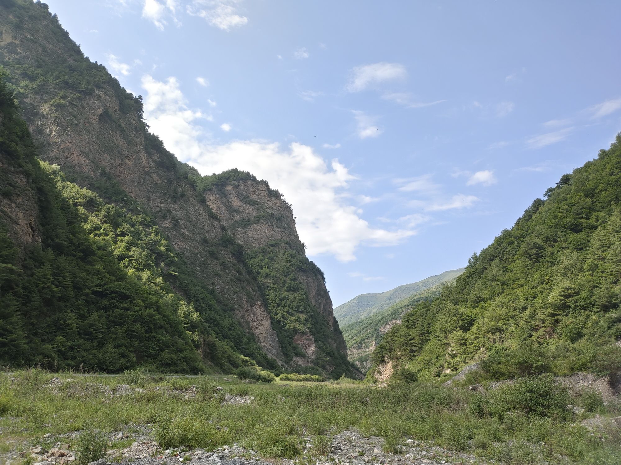 卧牛山森林公园
