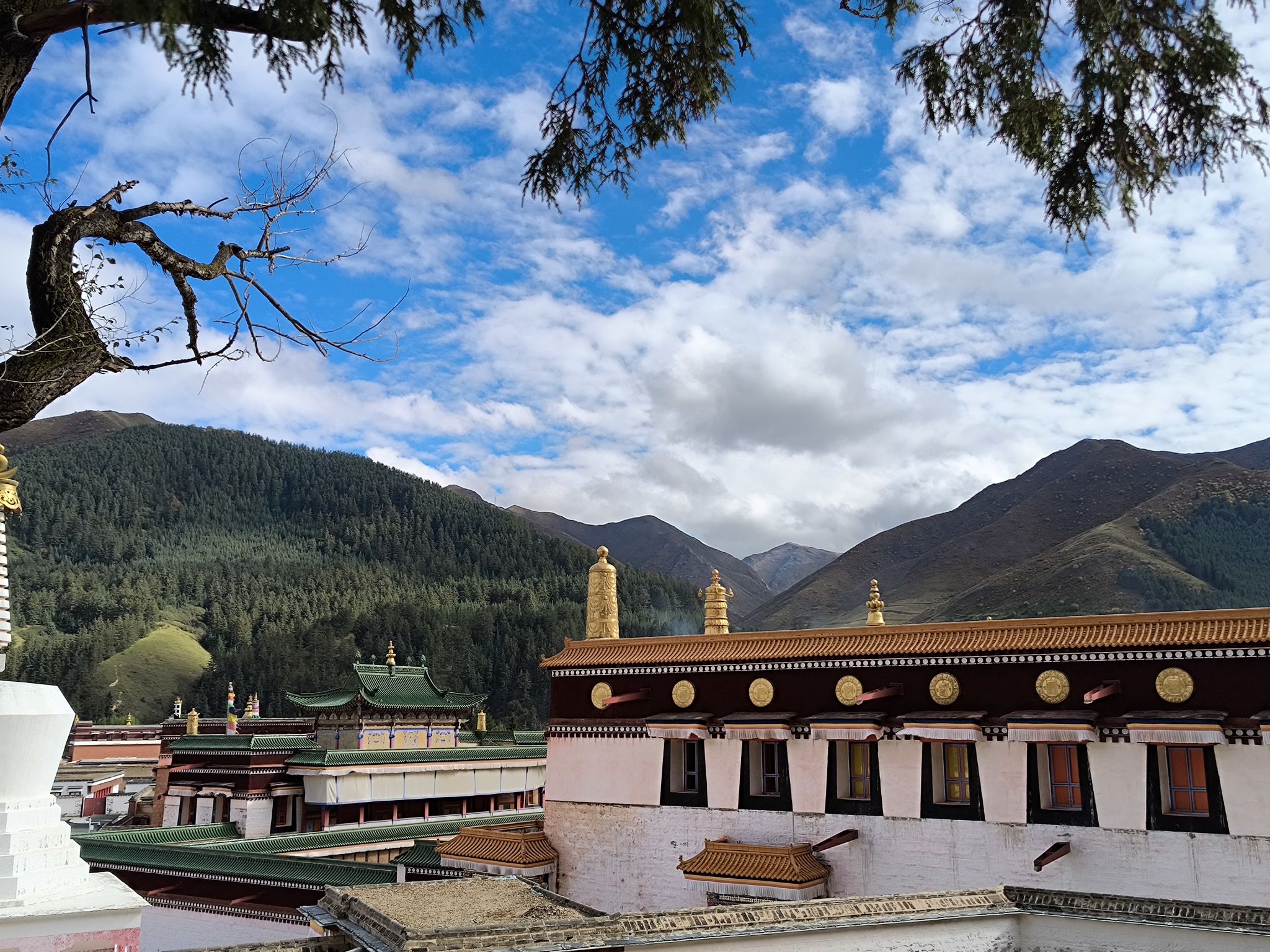 甘南拉卜楞寺 景点照片