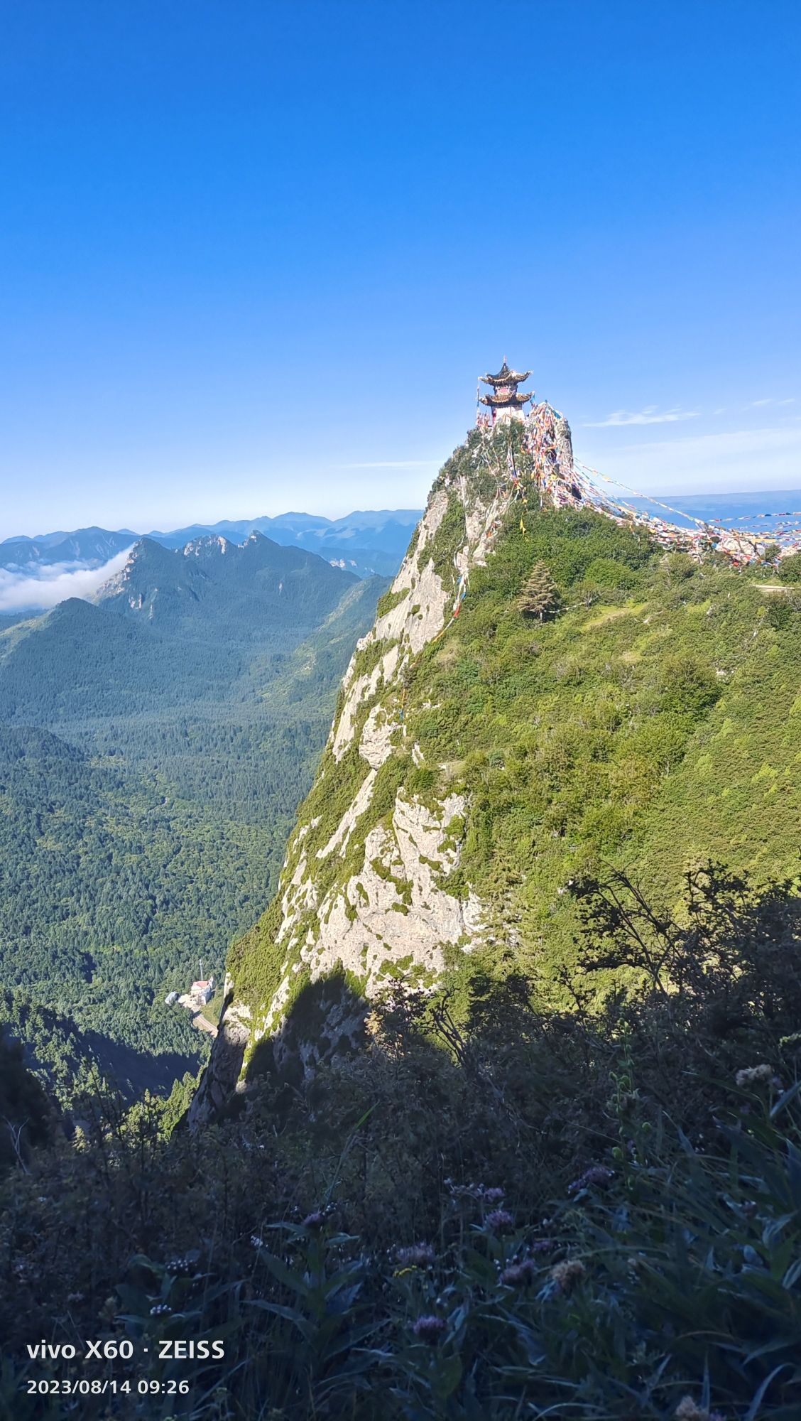 莲花山森林公园