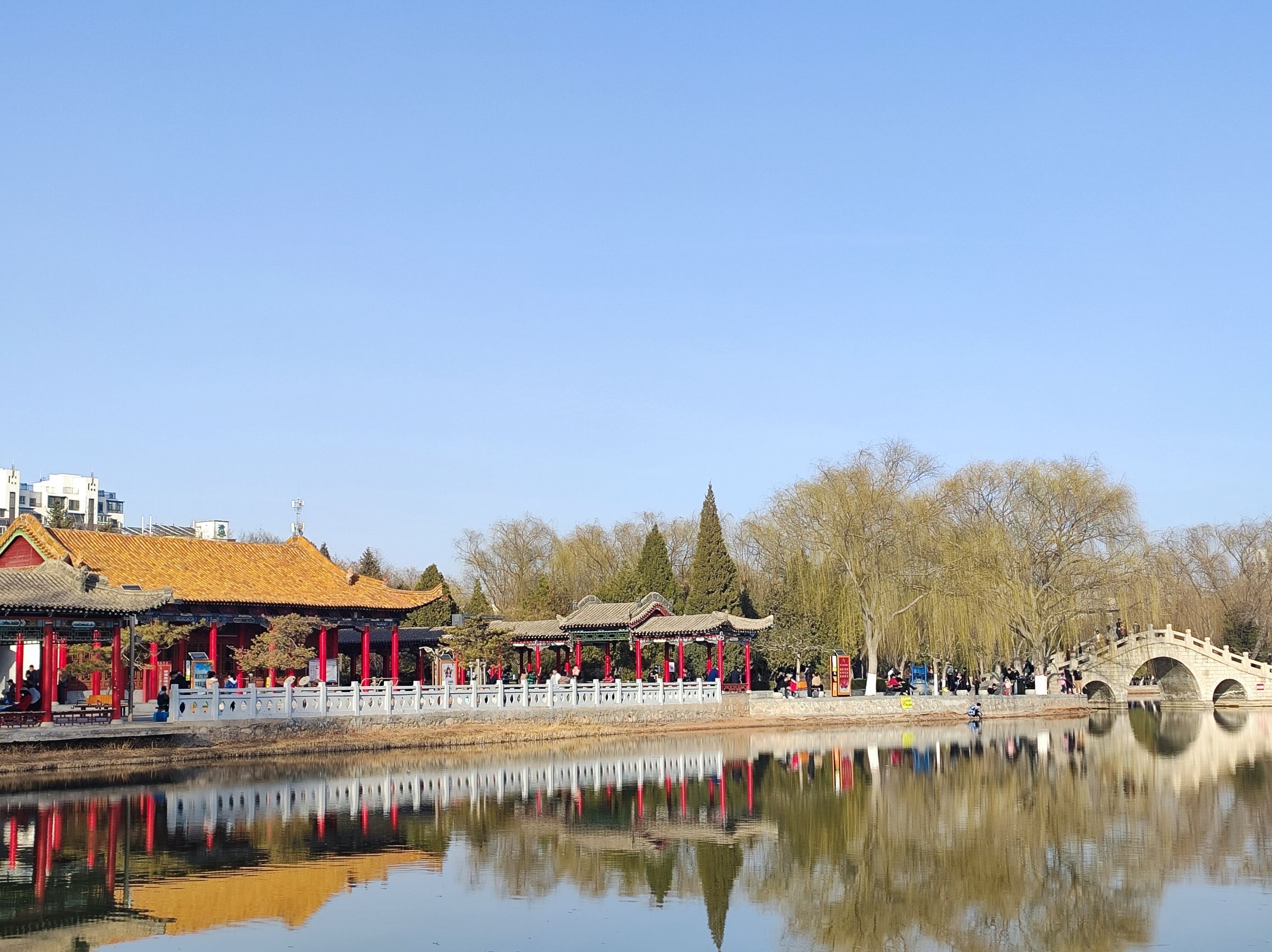西夏公园