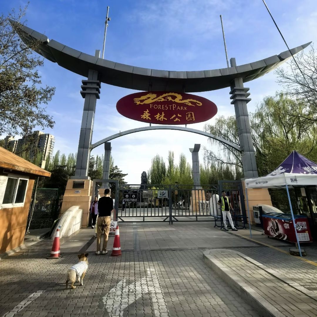 银川森林公园景点图片