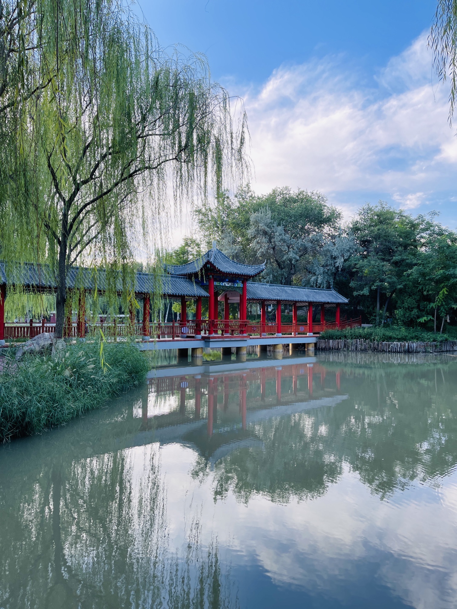中山公园